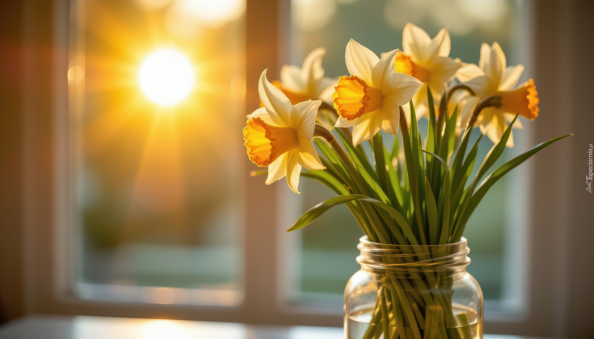 Bukiet, Narcyzy żonkile, Słoik, Okno, Słońce