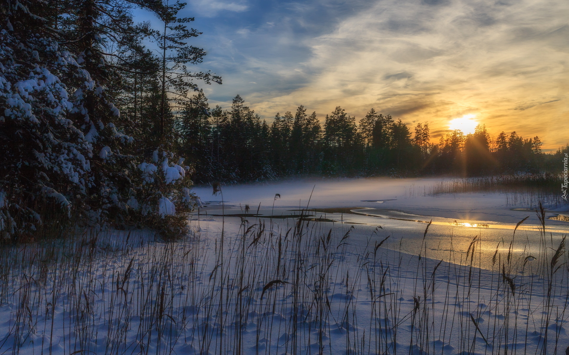 Zima, Rzeka, Las, Drzewa, Trawy, Śnieg, Zachód słońca, Rezerwat, Przyrody, Glaskogen, Arvika, Szwecja