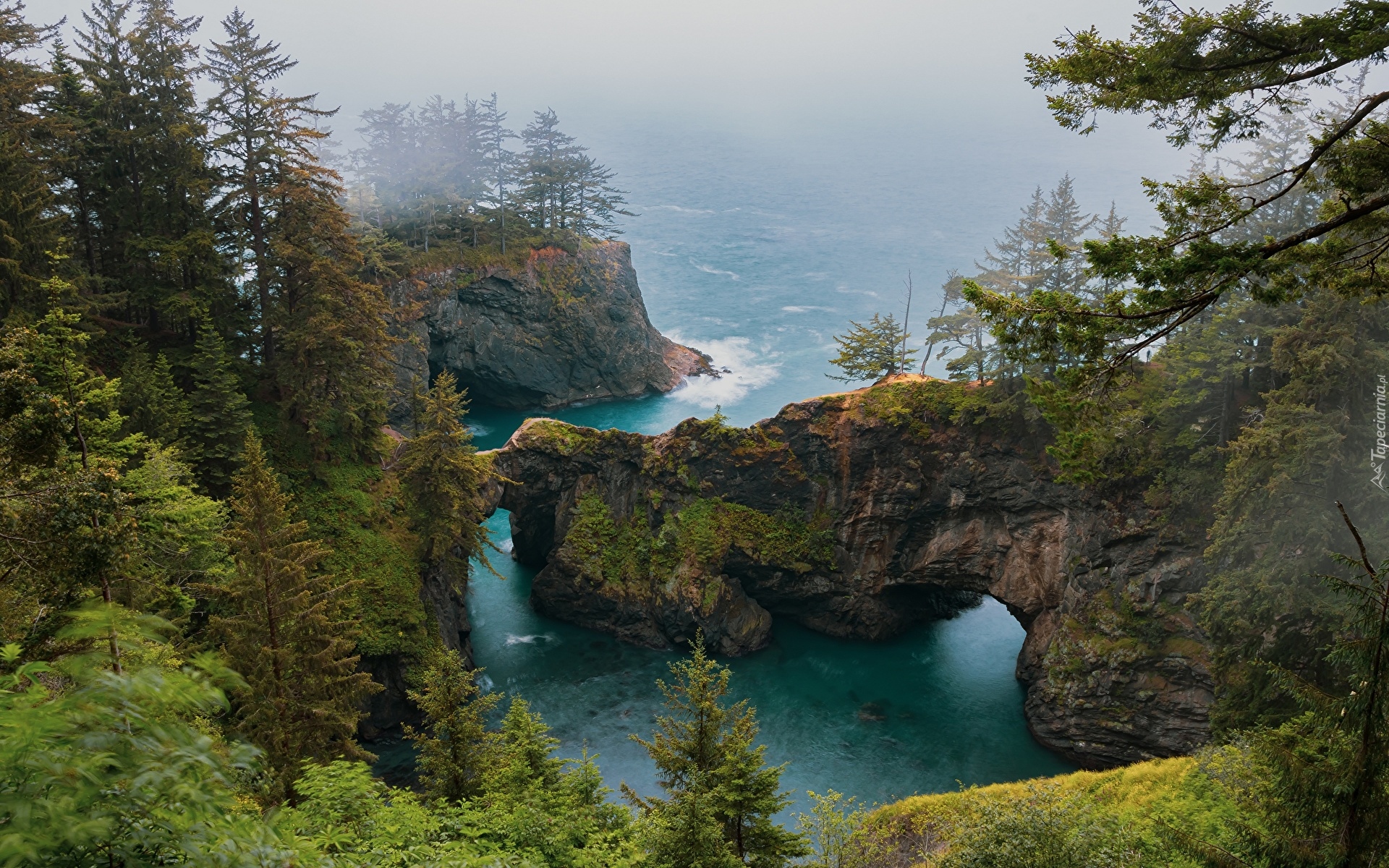 Skały, Mosty skalne, Drzewa, Mgła, Morze, Punkt widokowy, Natural Bridges Viewpoint, Brookings, Oregon, Stany Zjednoczone