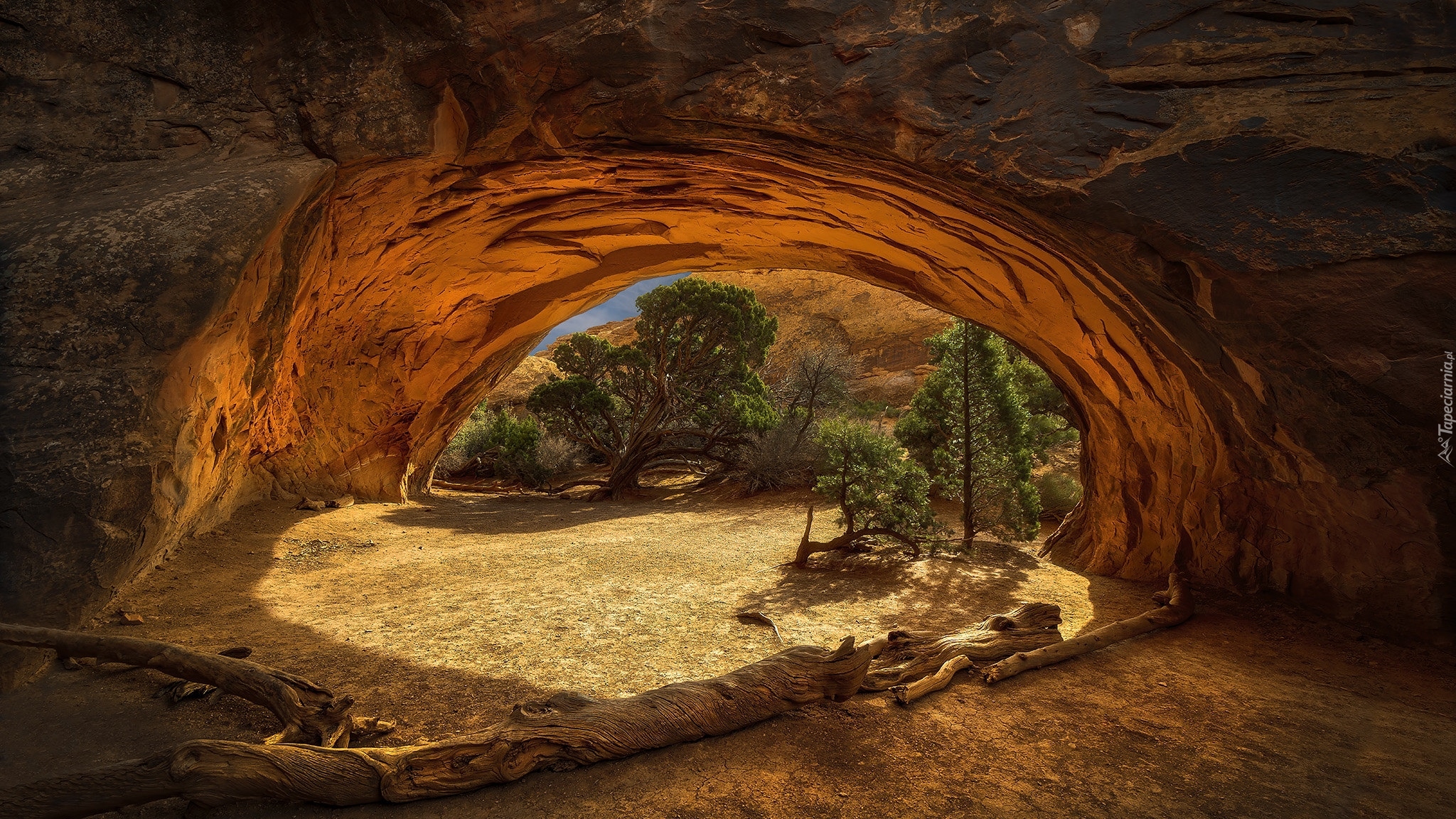 Skały, Nawajo Arch, Drzewa, Park Narodowy Arches, Stan Utah, Stany Zjednoczone