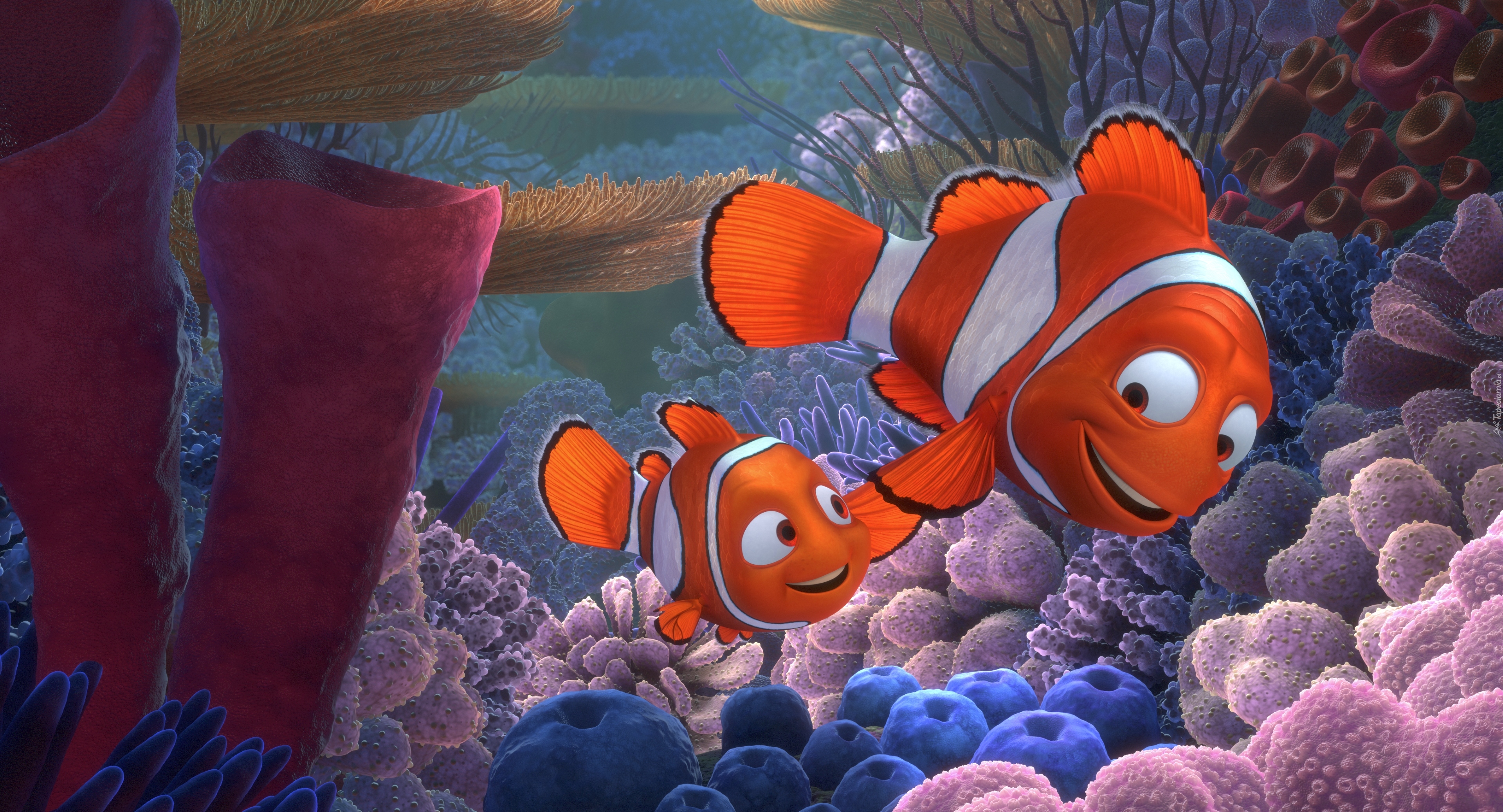 Film animowany, Gdzie jest Nemo, Finding Nemo, Ojciec, Marlin