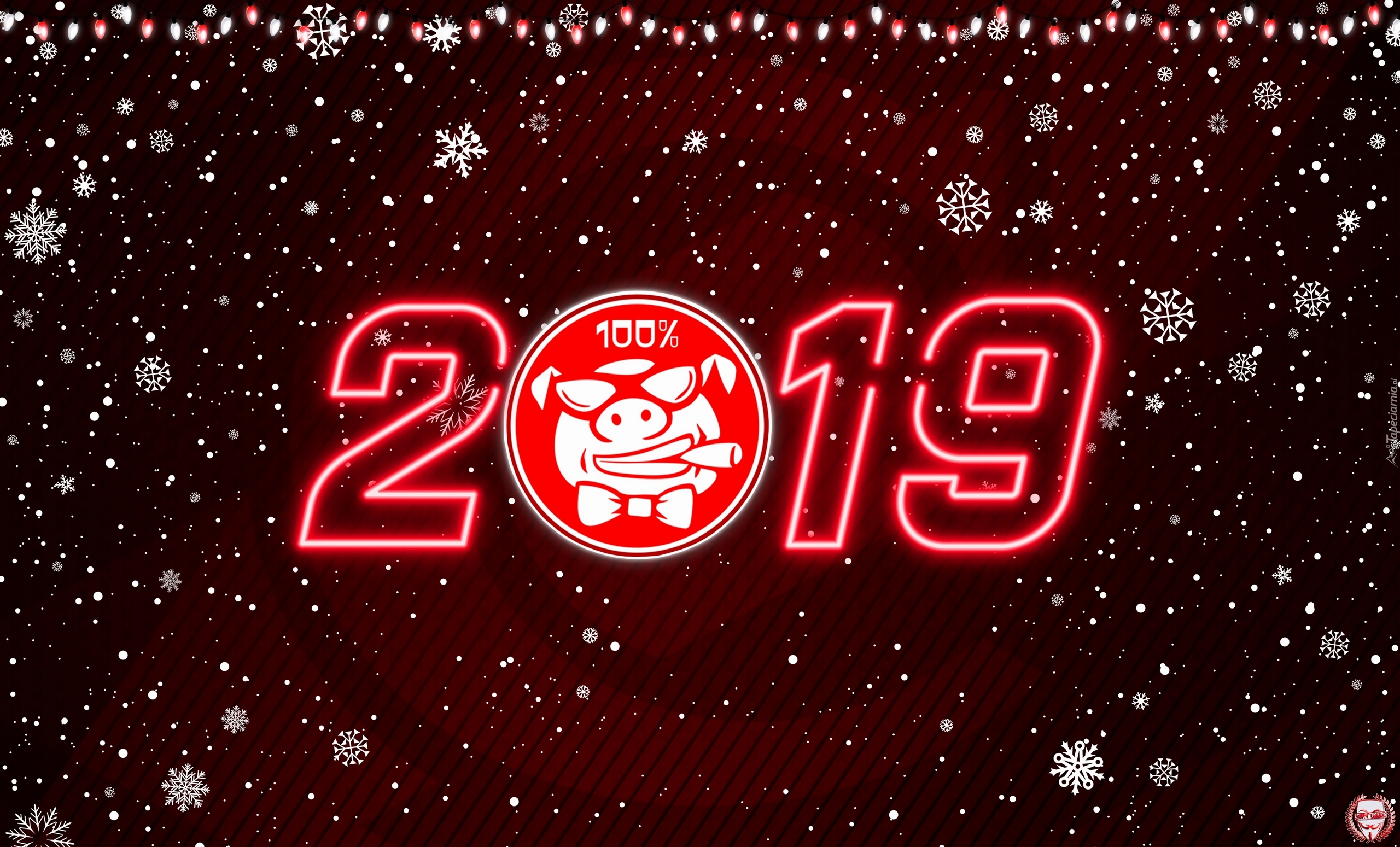 Nowy Rok, 2019, Rok, Świni