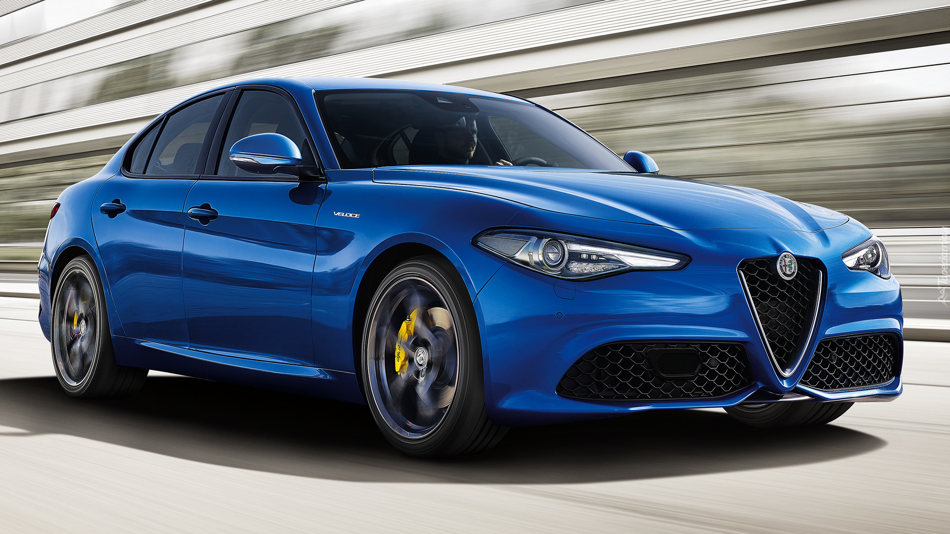 Niebieska, Alfa Romeo Giulia