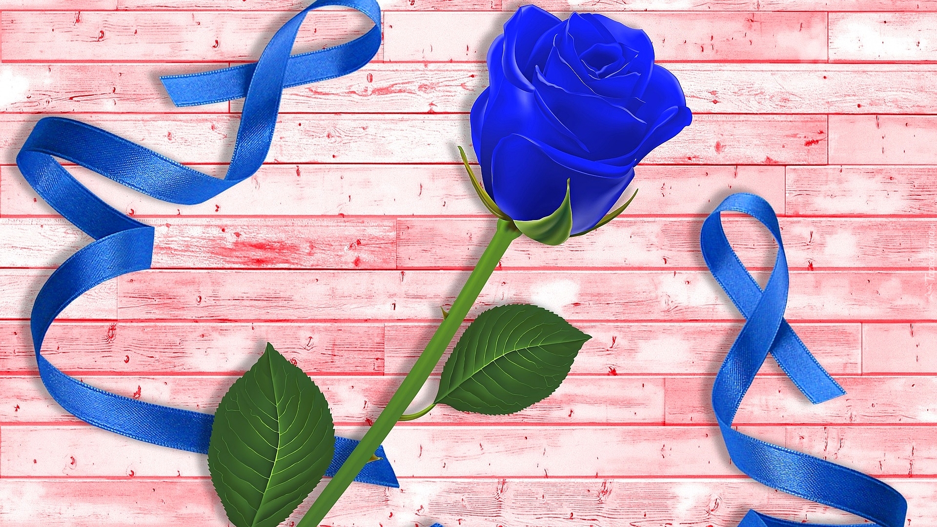 Kwiat, Niebieska, Róża, Wstążka, Grafika