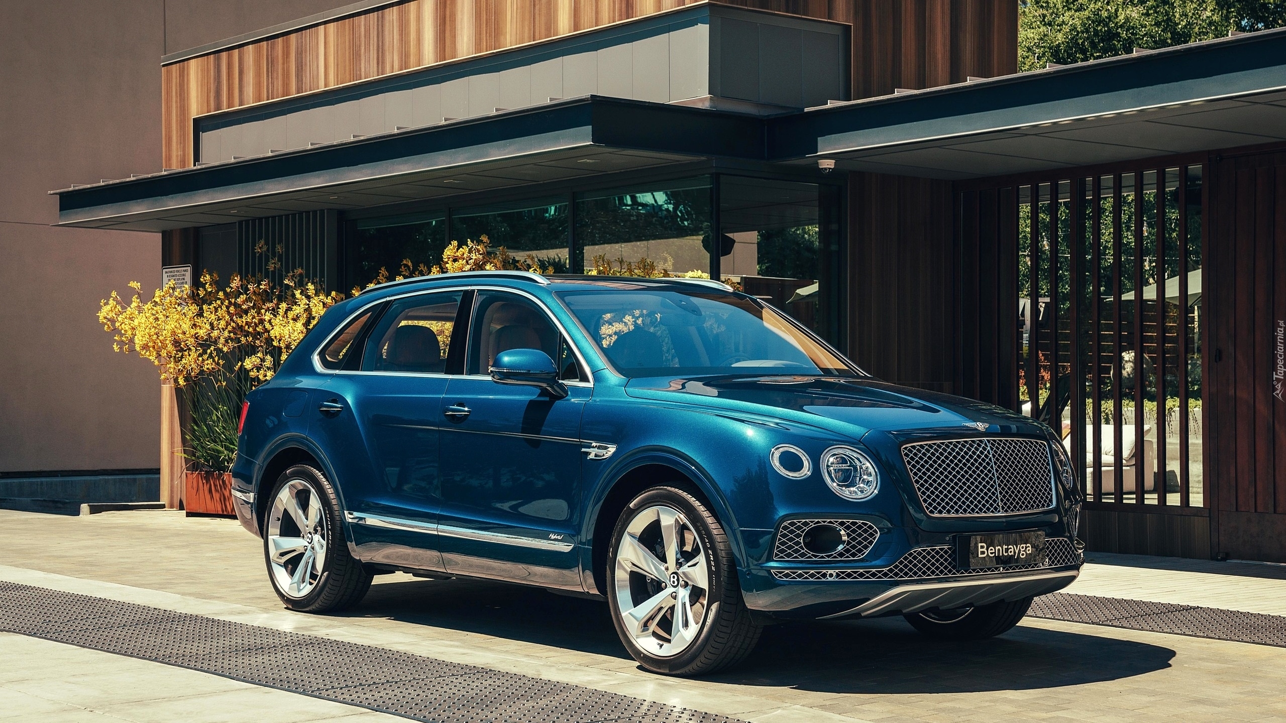 Niebieski, Bentley Bentayga Hybrid