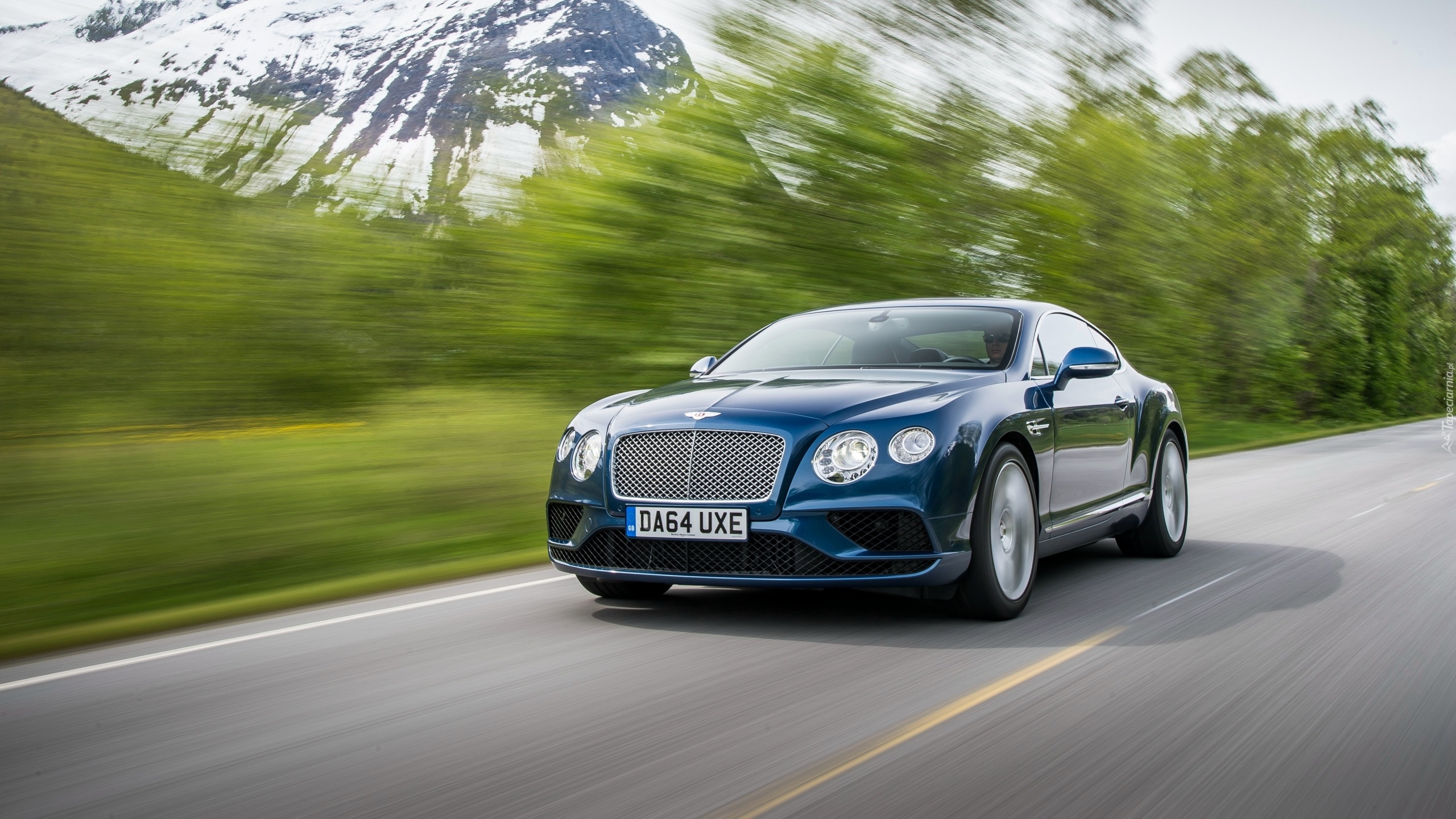 Niebieski, Bentley Continental GT V8, 2016