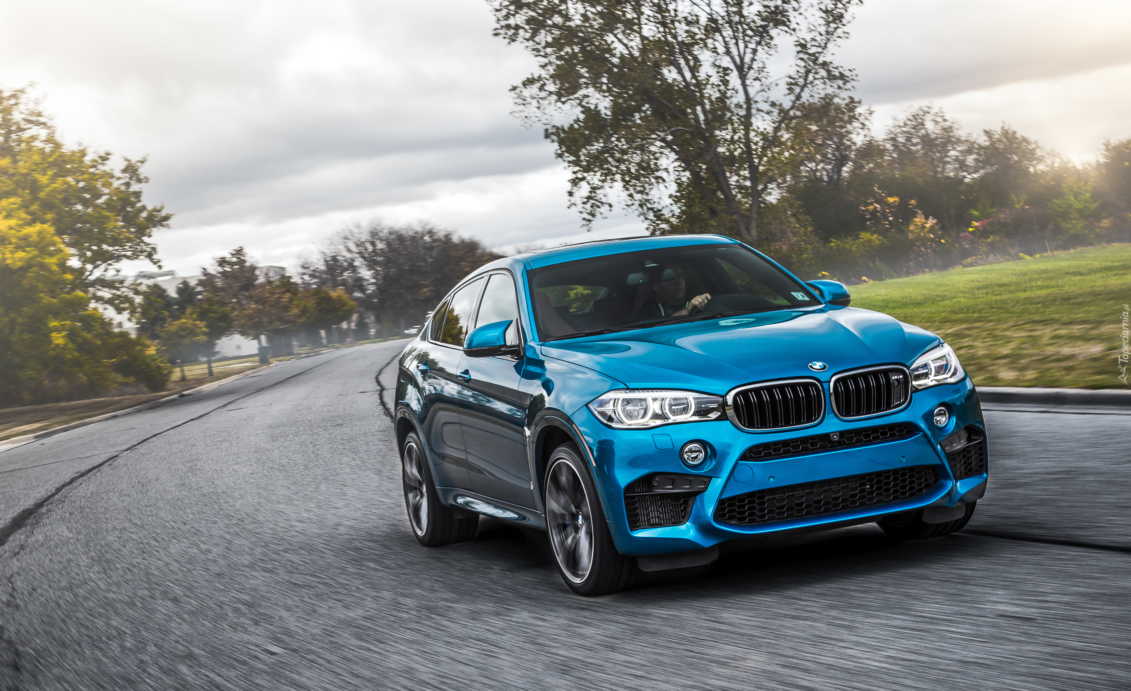 Niebieskie, BMW X6 M, F86, 2015