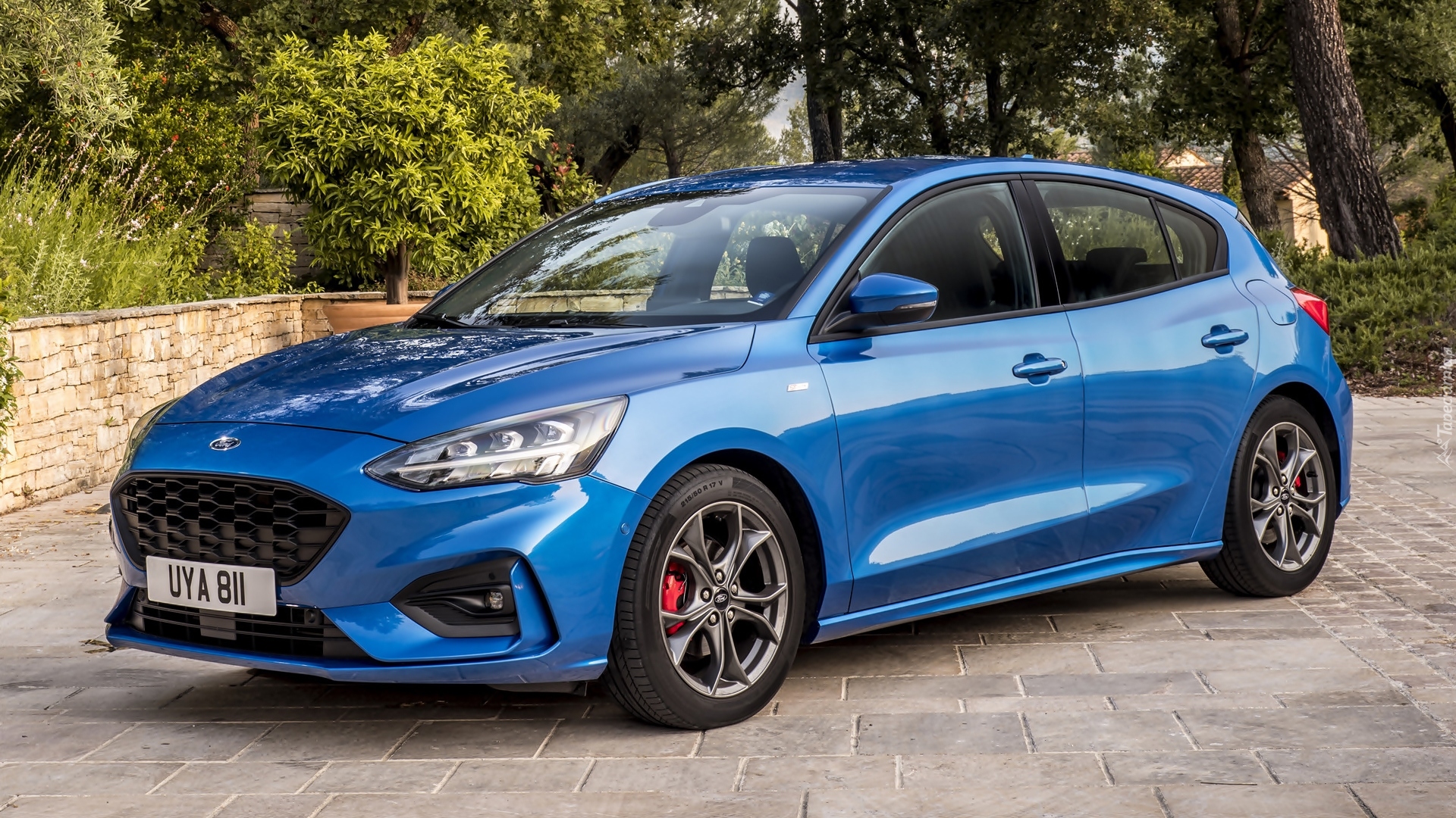 Niebieski, Ford Focus ST