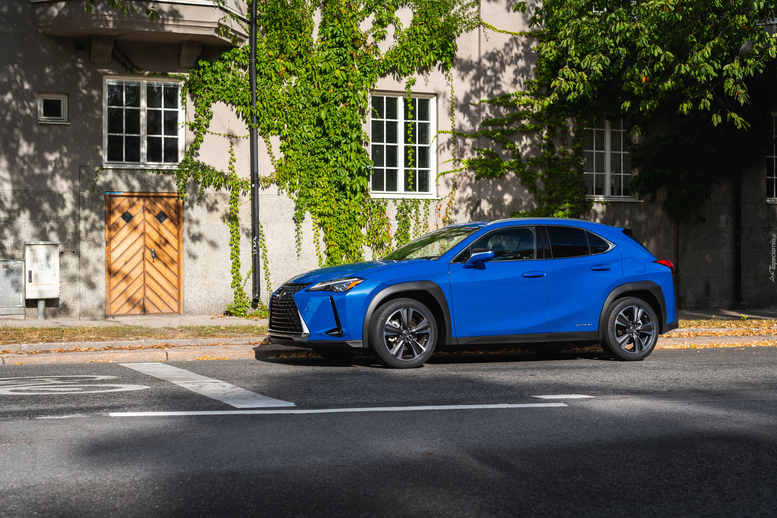 Niebieski, Lexus UX 250h, Dom