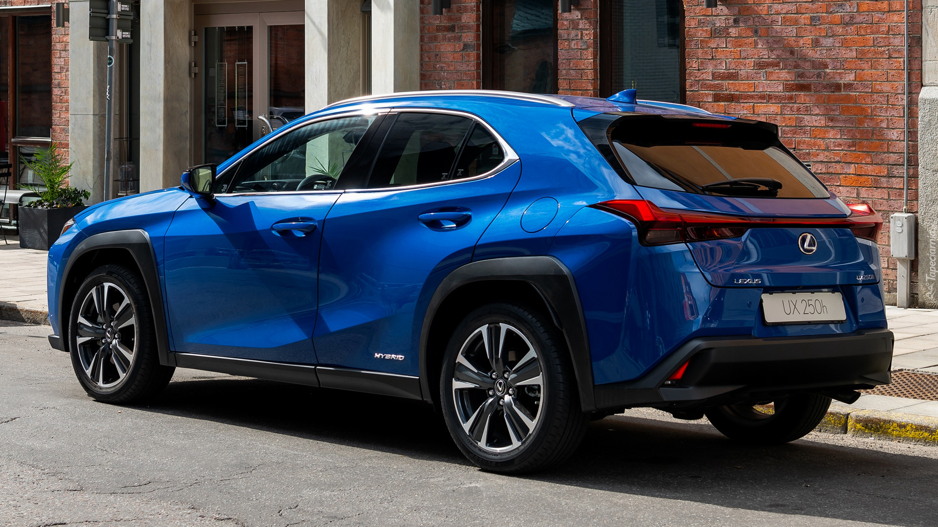 Niebieski, Lexus UX