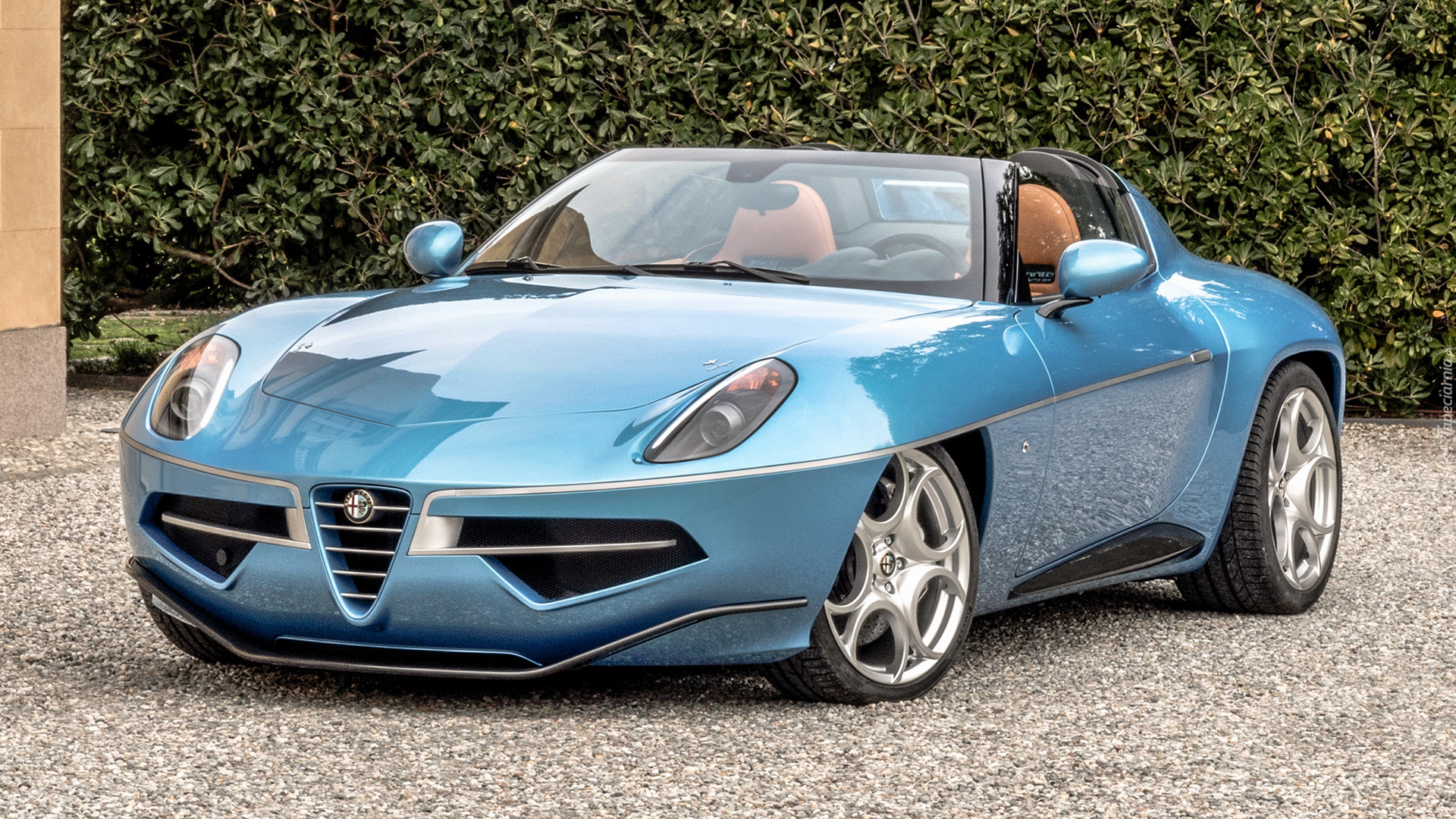 Alfa Romeo Disco Volante, Kabriolet