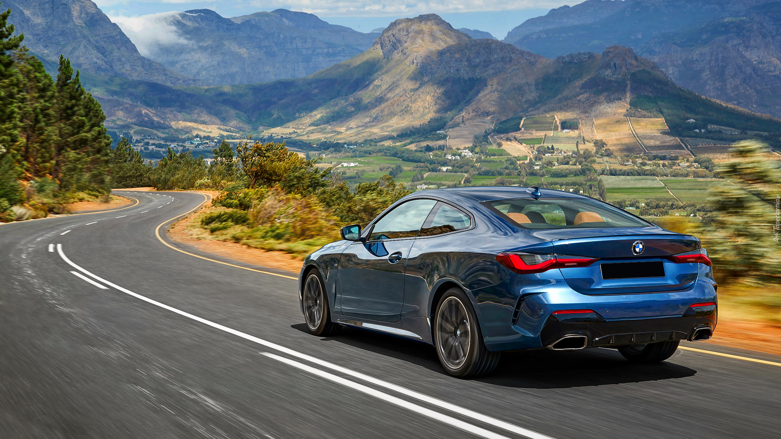 Niebieskie, BMW M440i Coupe, 2021, Tył