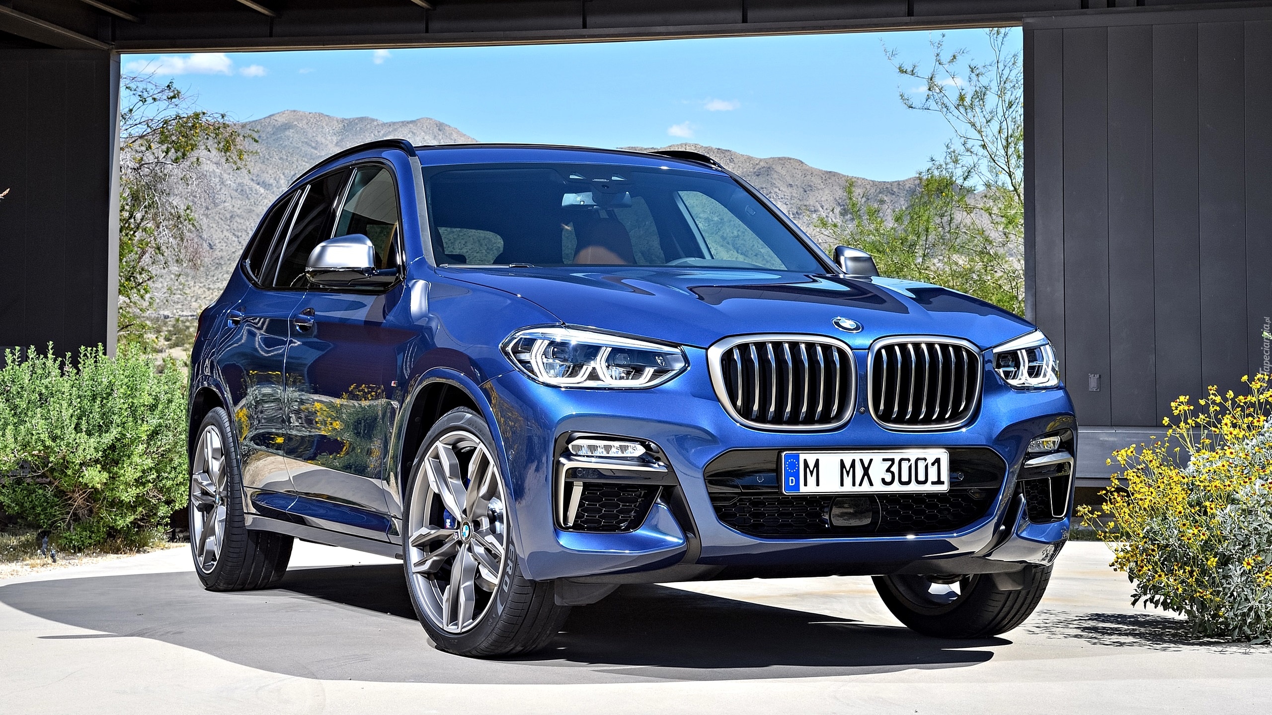 BMW X3 M40i M Sport, 2018, Rośliny