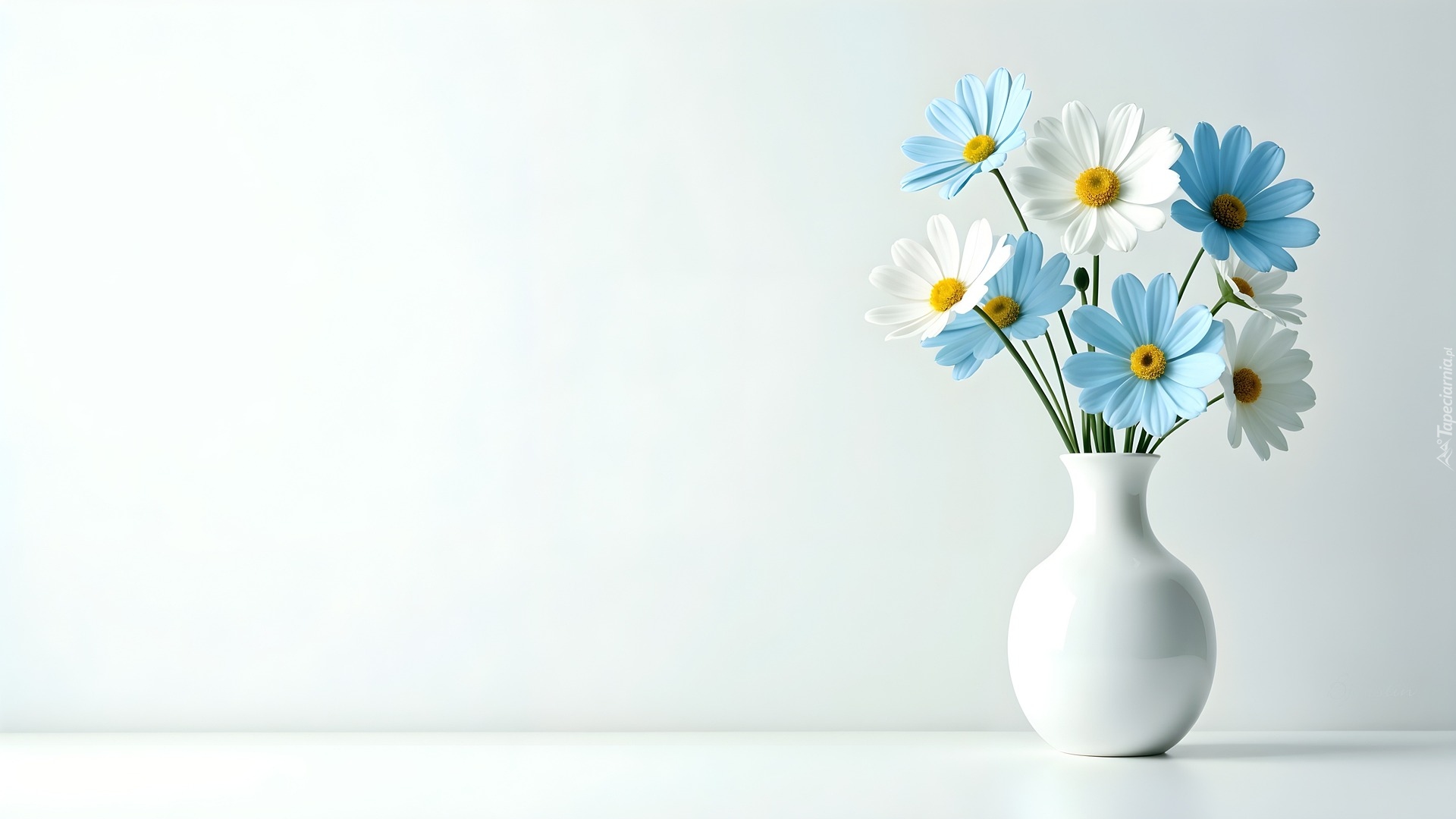 Kwiat, Biały, Wazon