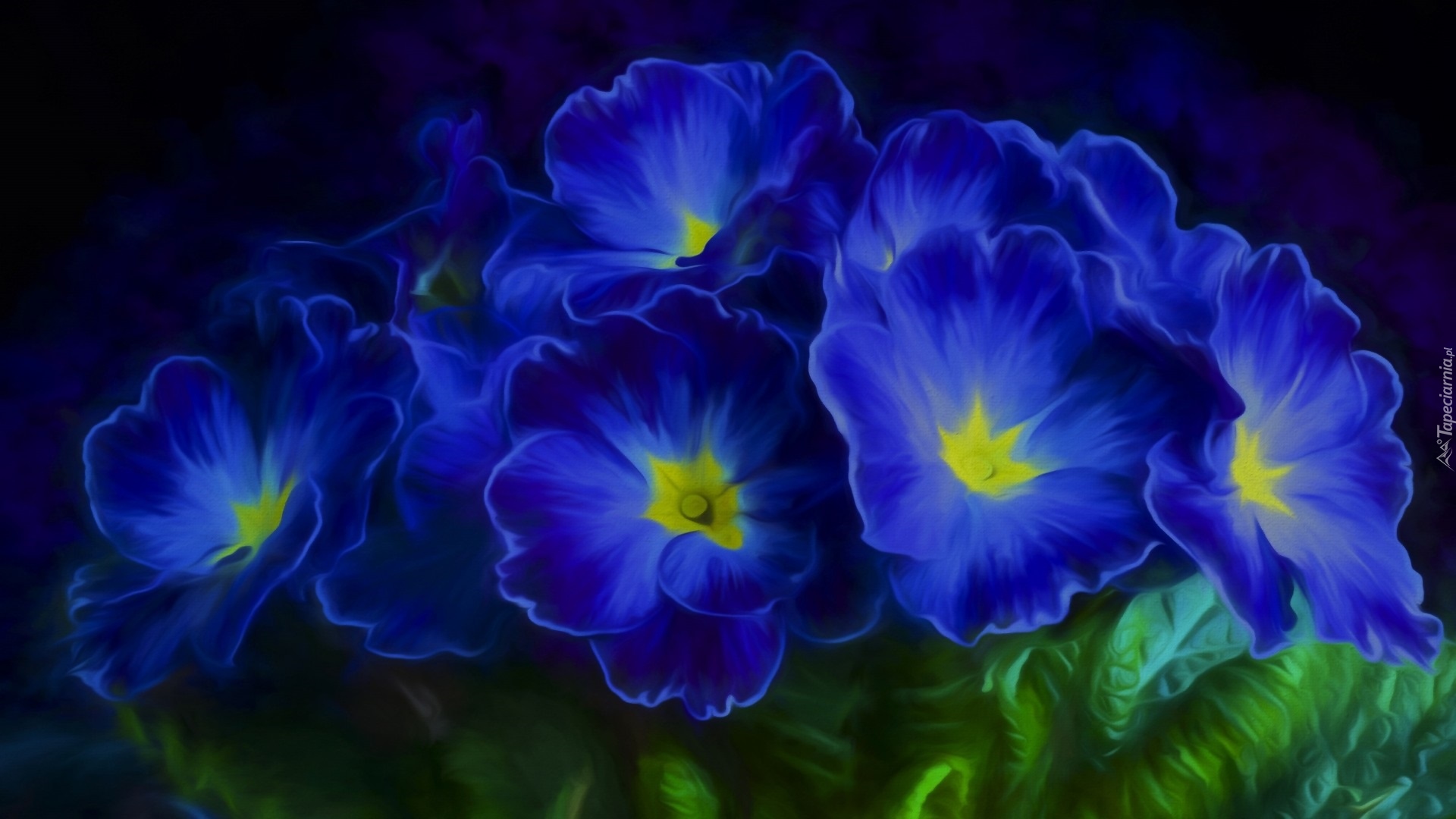 Niebieskie, Kwiaty, Prymulki, Grafika 2D