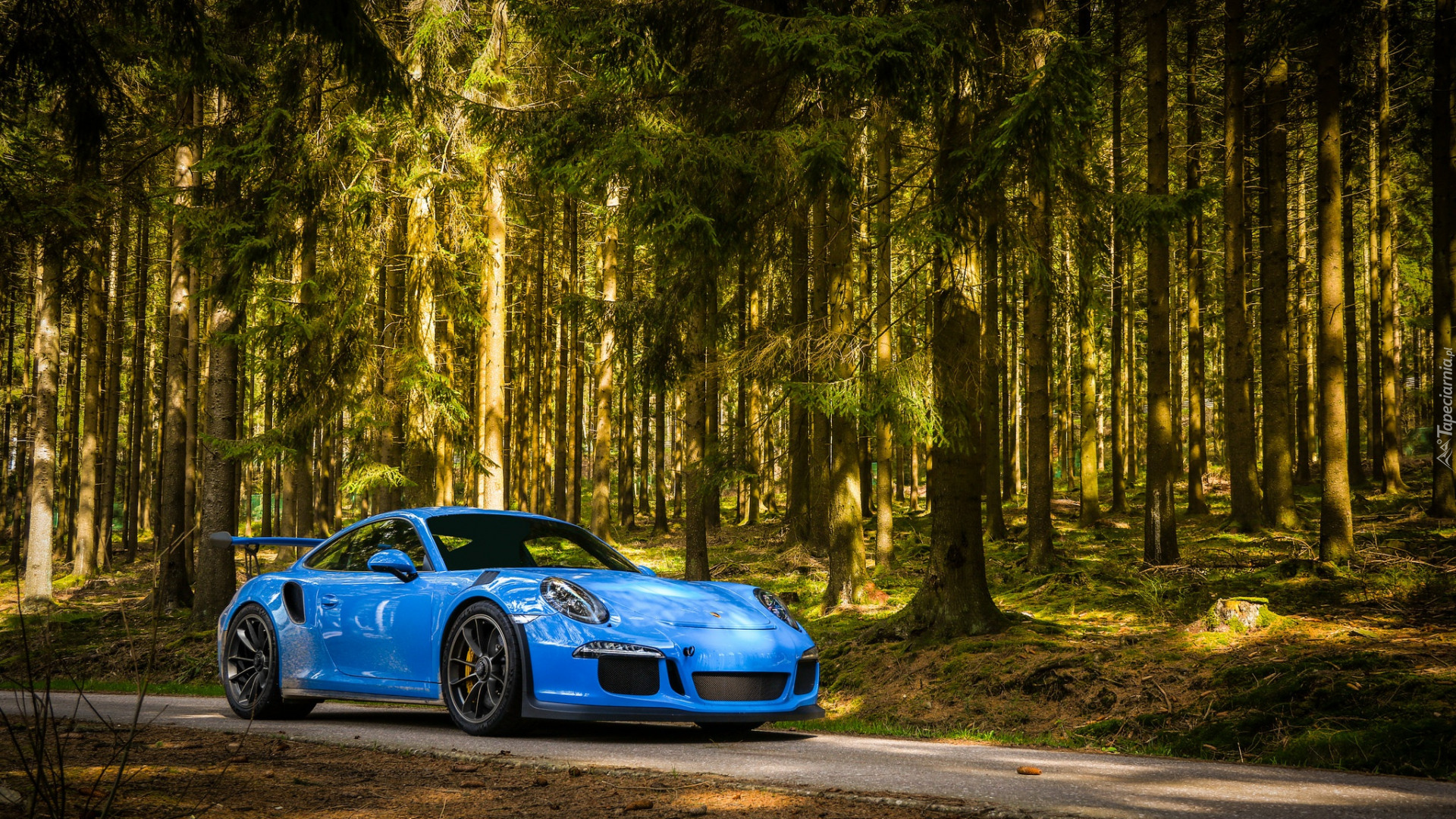 Niebieskie, Porsche 911 GT3, Las