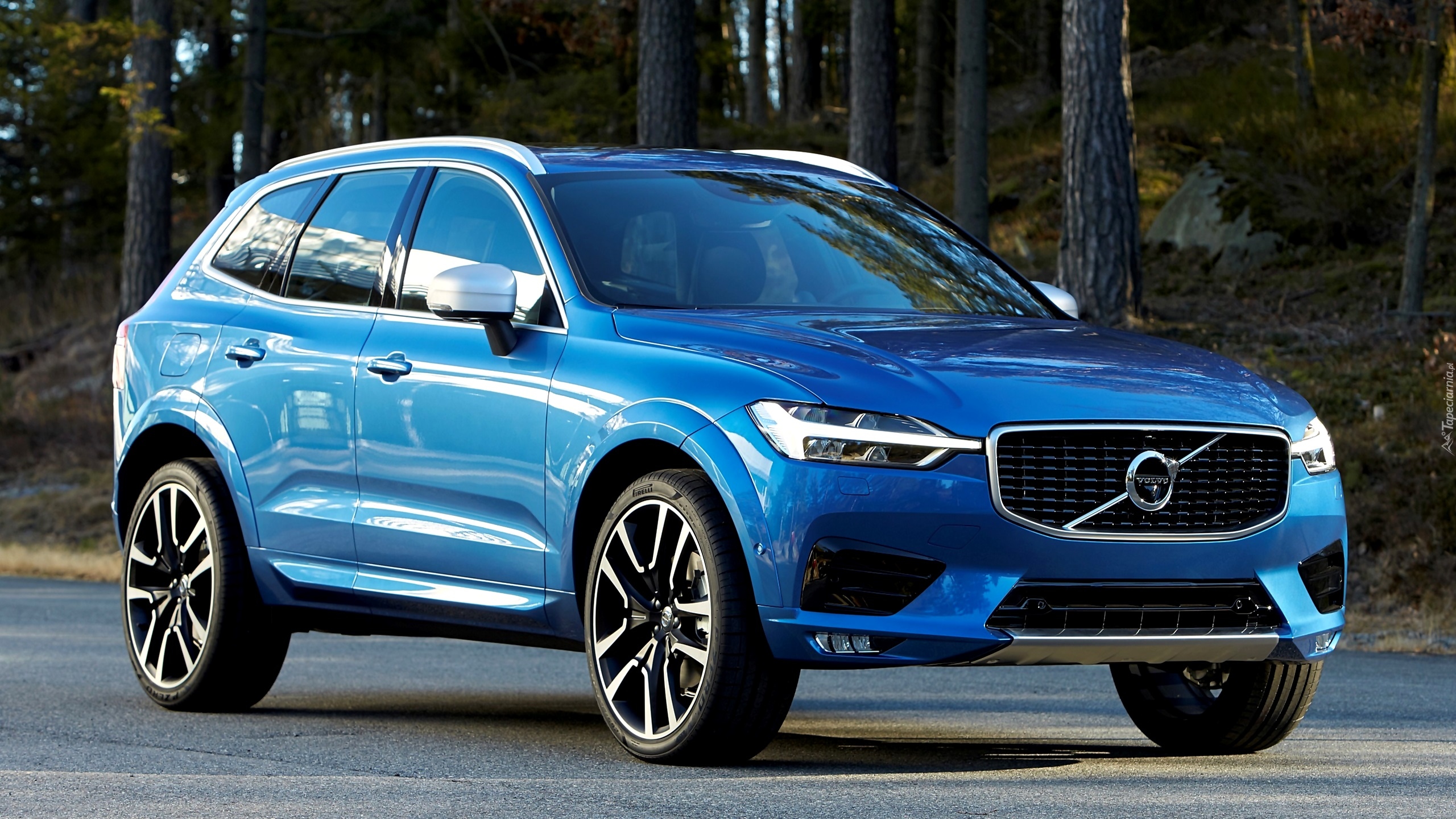 Niebieskie, Volvo XC60, 2017, Las