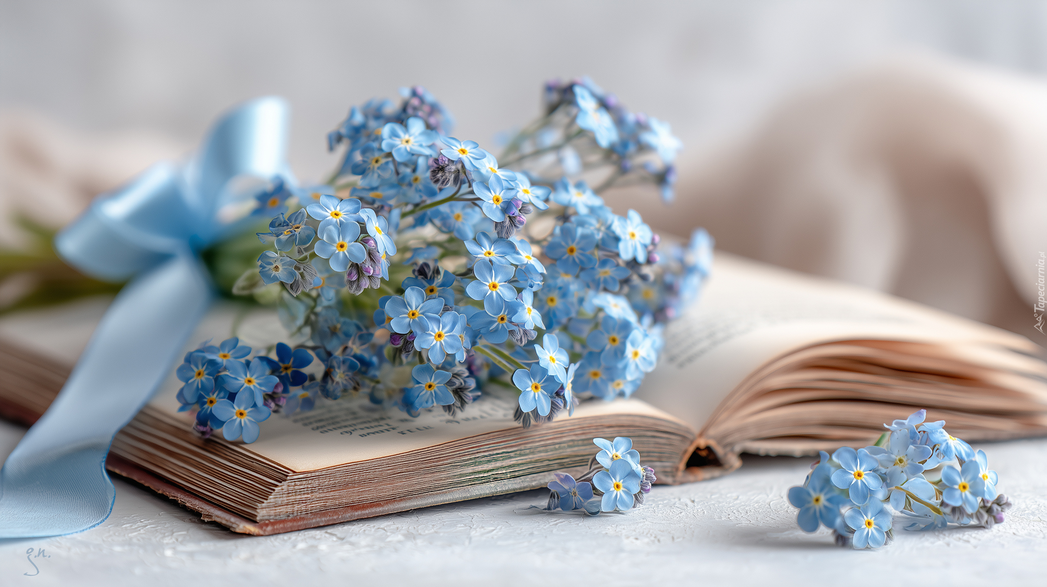 Niezapominajki, Książka, Grafika AI