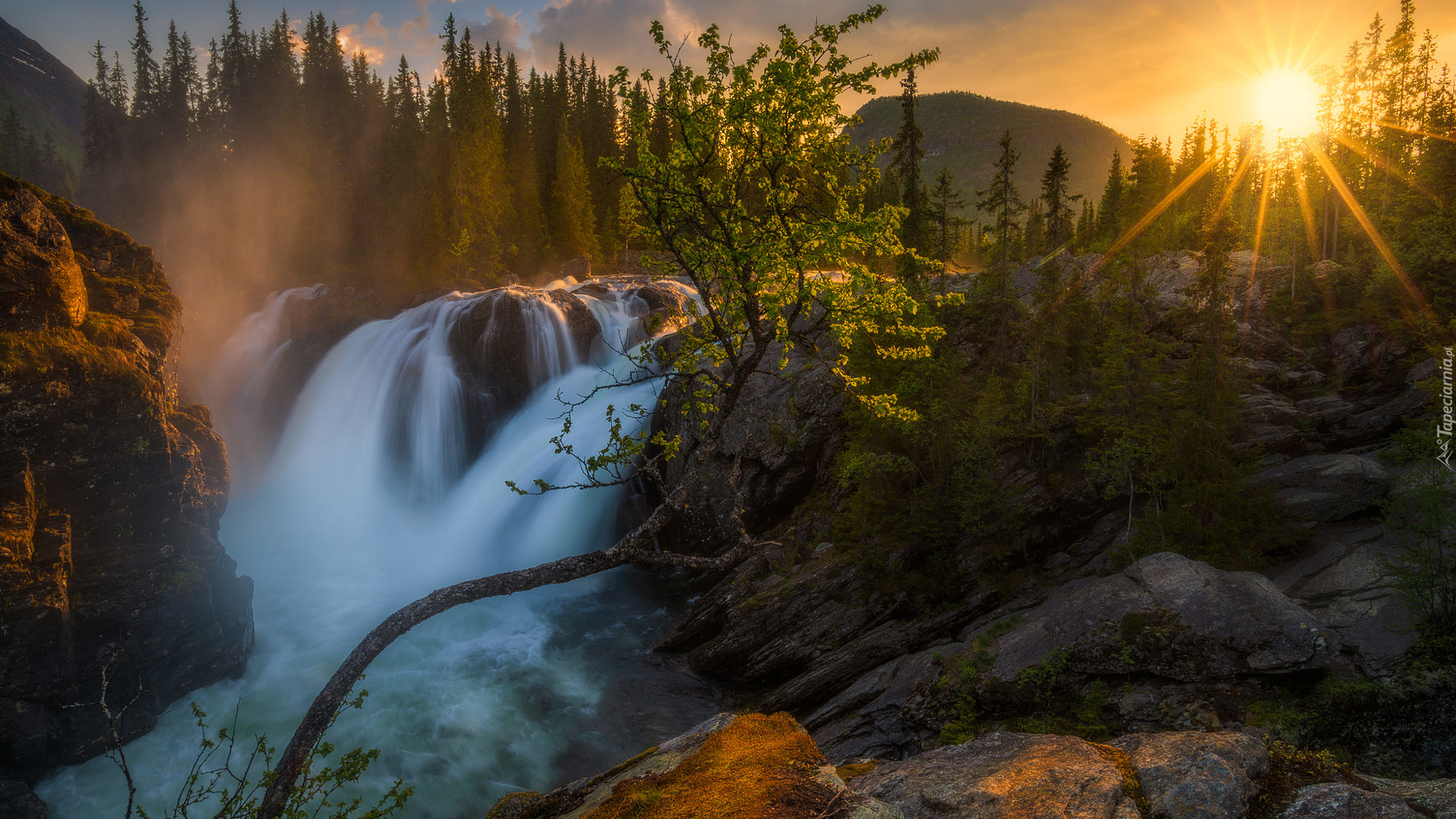 Norwegia, Gmina Hemsedal, Wodospad Rjukandefossen, Skały, Góry, Drzewa, Promienie słońca