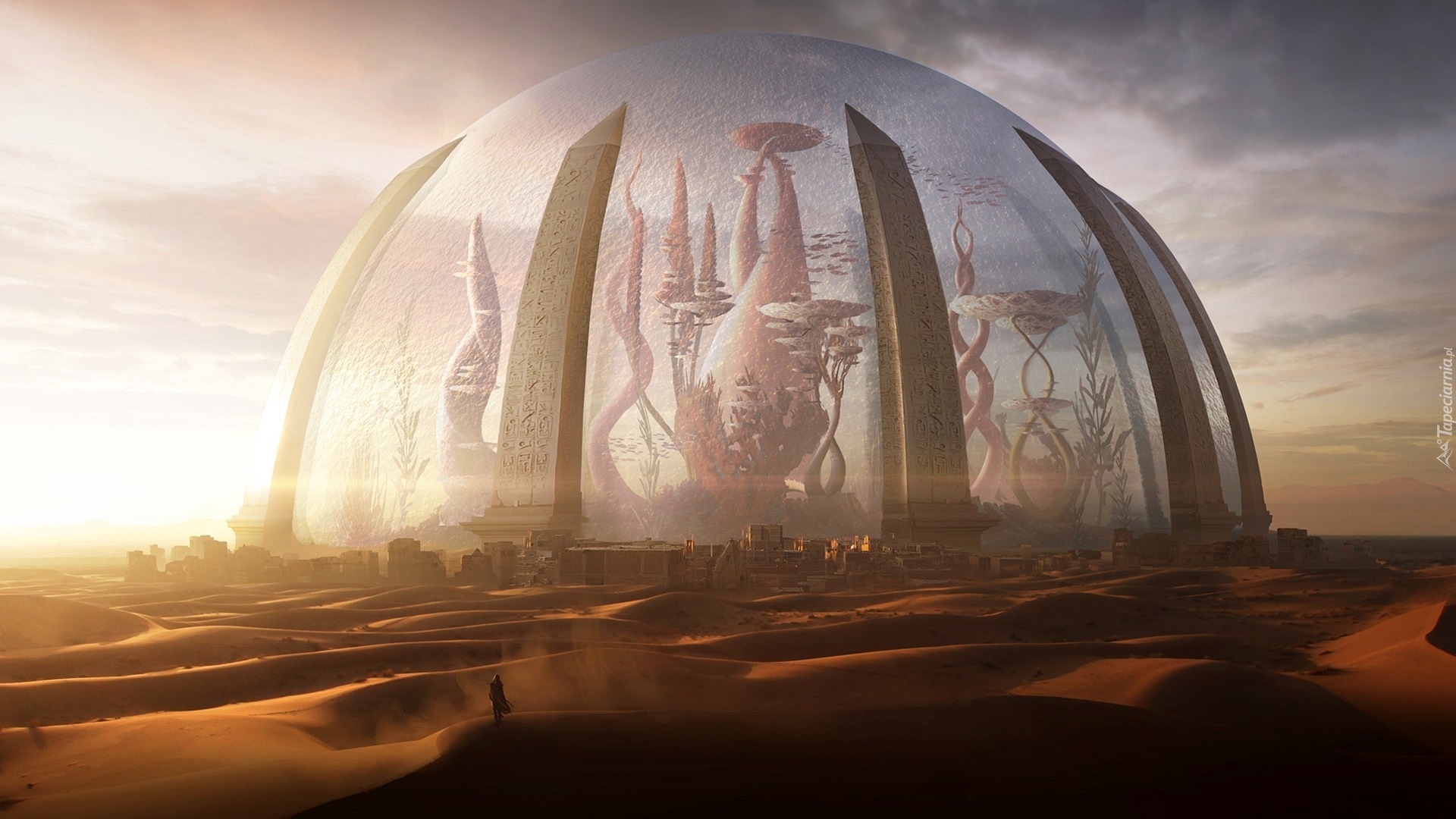 Gra, Torment: Tides of Numenera, Oaza M-ra Jolios