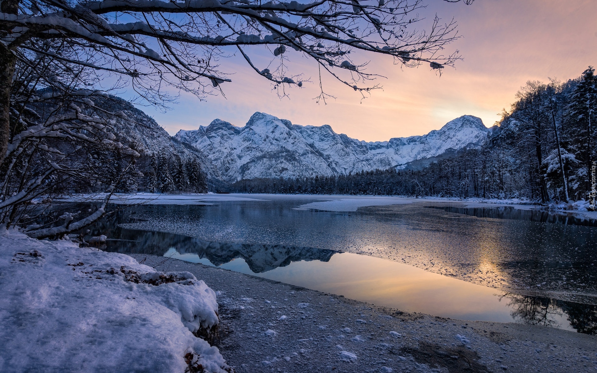 Austria, Góry, Jezioro, Almsee, Zima, Drzewa