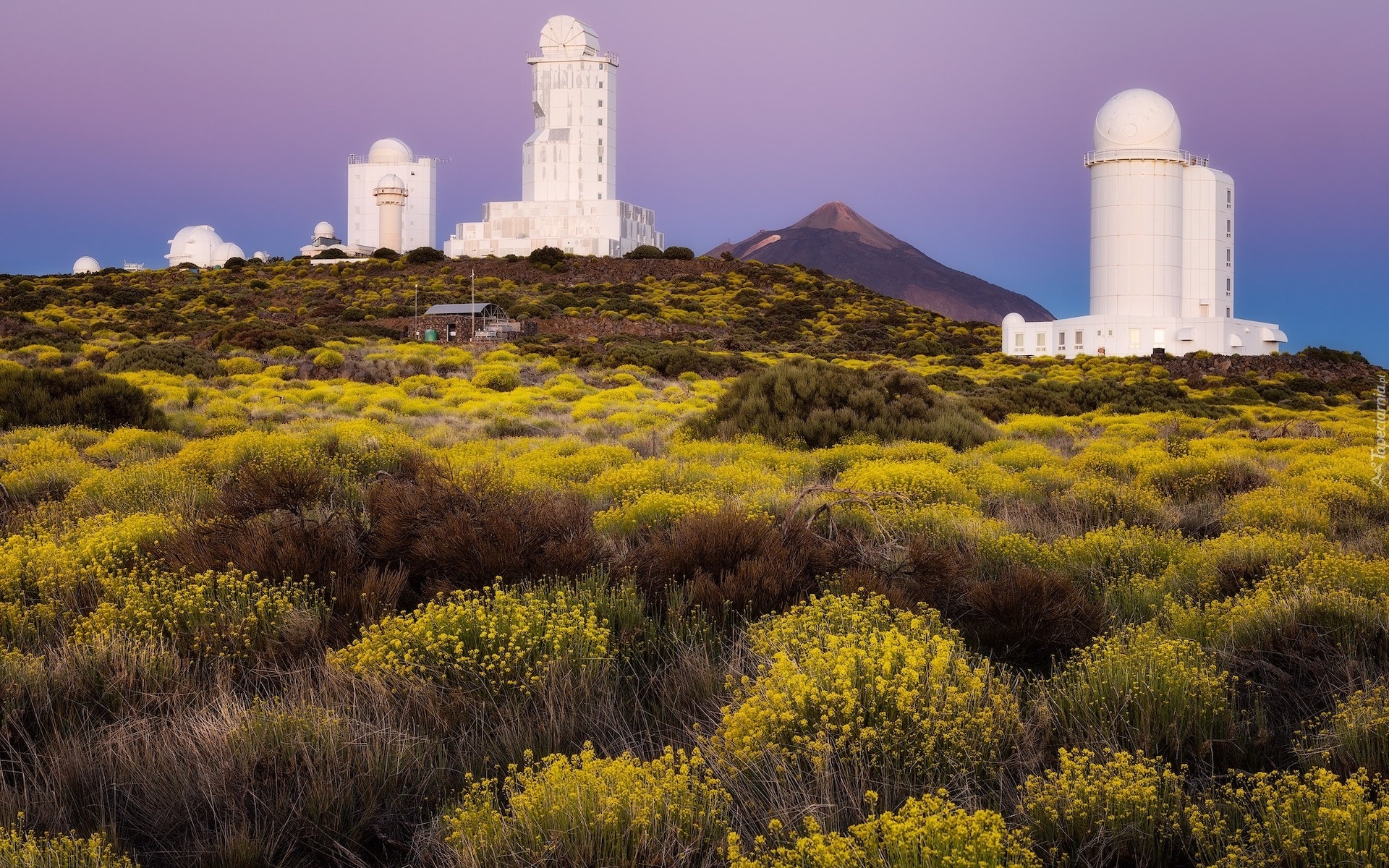 Hiszpania, Teneryfa, Góra, Teide, Obserwatorium, Trawy Budowla