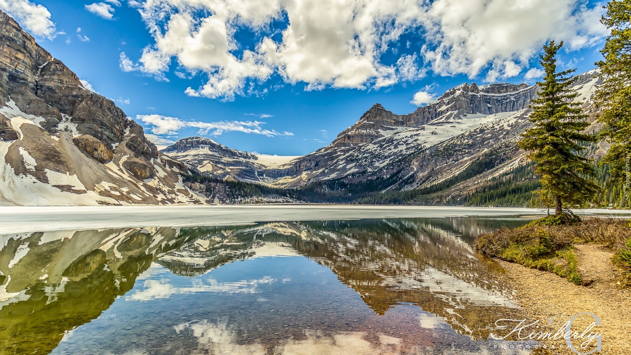Góry, Jezioro, Bow Lake, Drzewa, Odbicie, Park Narodowy Banff, Kanada