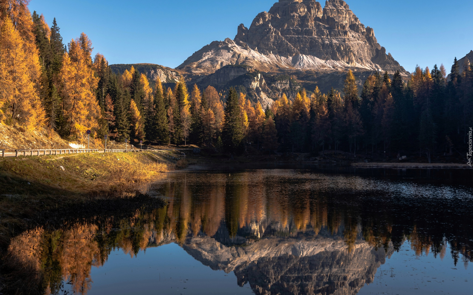 Jesień, Góry, Dolomity, Las, Pożółkłe, Drzewa, Jezioro, Antorno Lake, Odbicie, Włochy