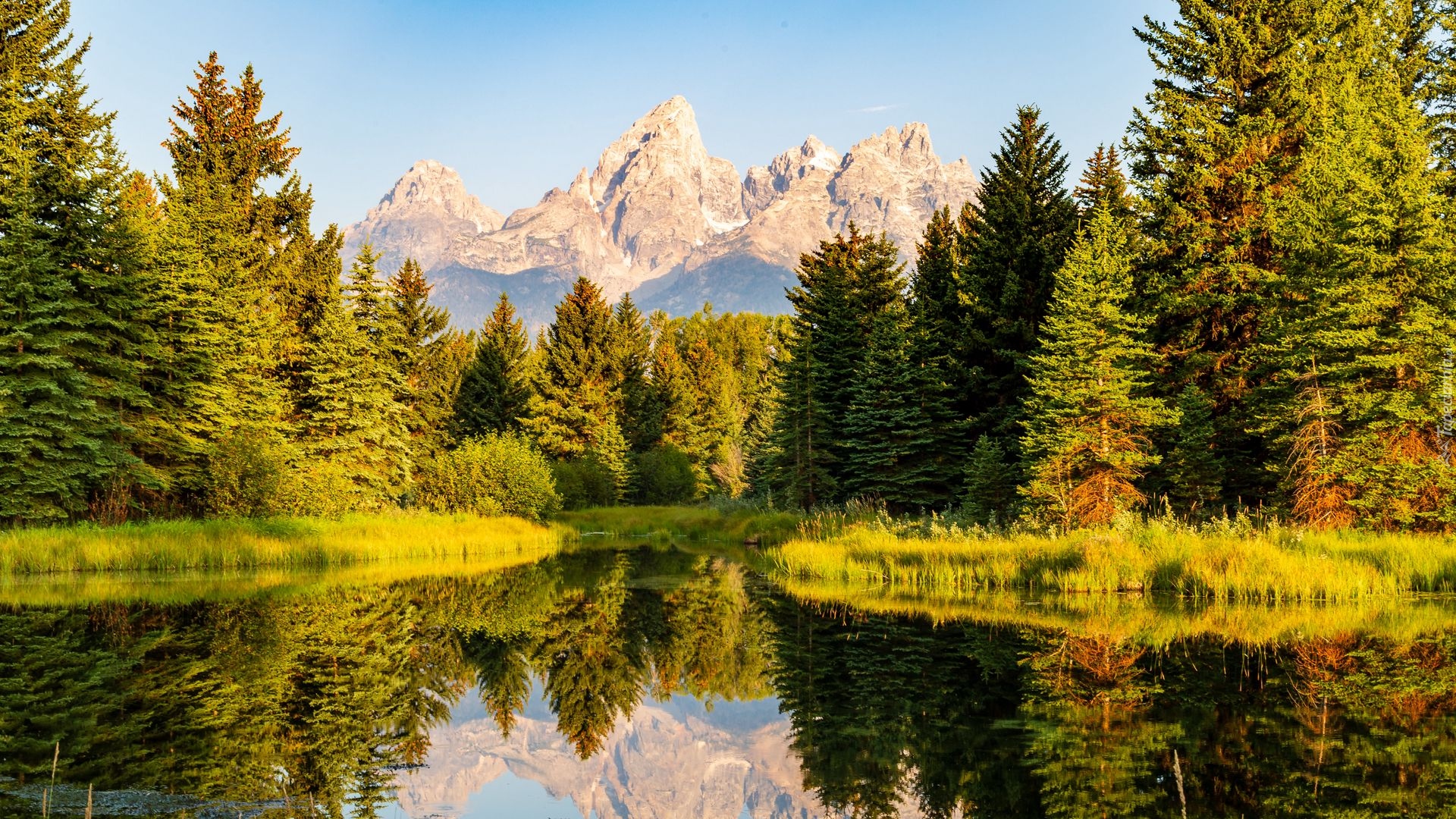 Stany Zjednoczone, Wyoming, Park Narodowy Grand Teton, Góry, Drzewa, Rzeka, Odbicie