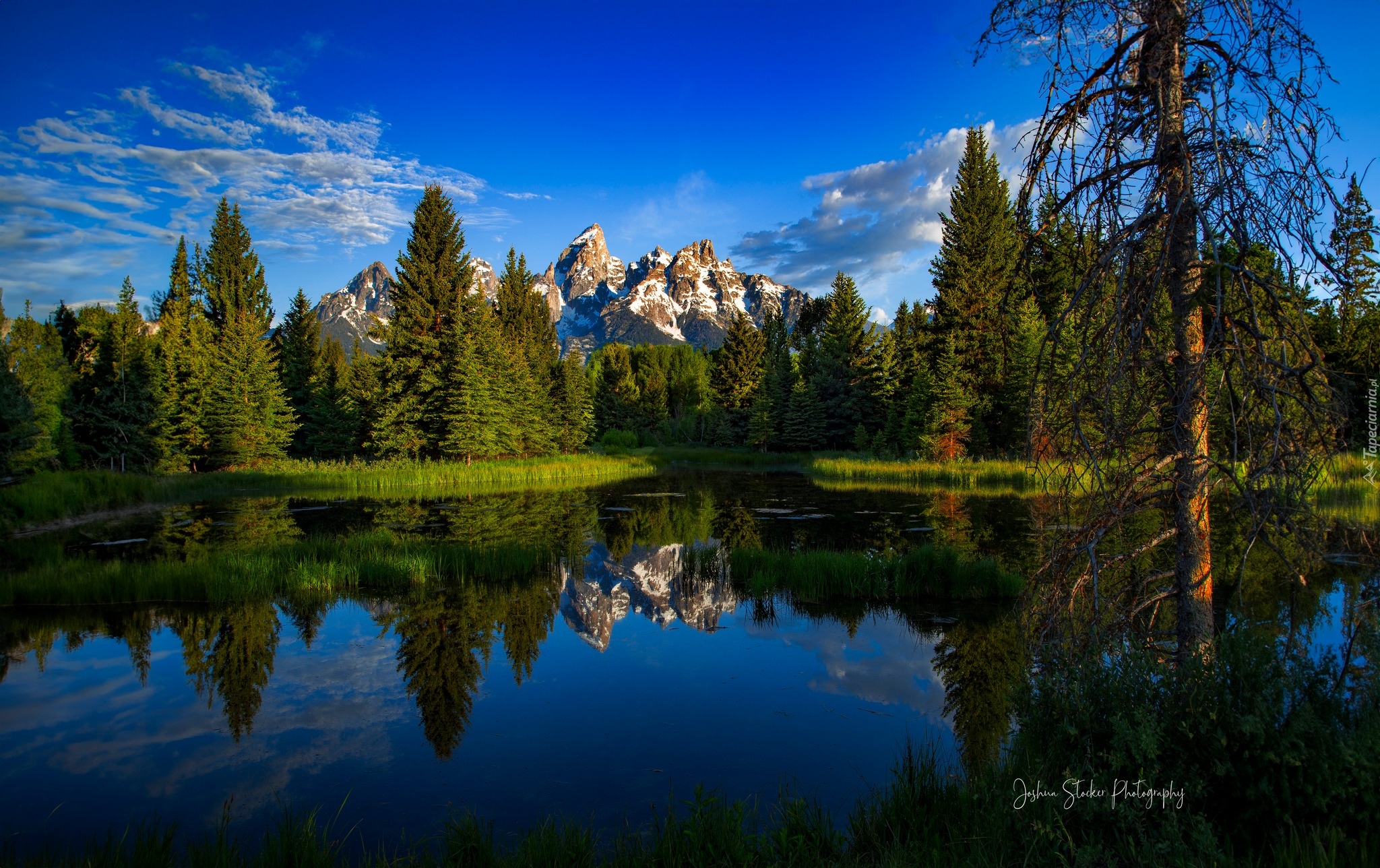 Stany Zjednoczone, Wyoming, Park Narodowy Grand Teton, Góry, Grand Teton, Rzeka, Snake River, Drzewa, Wschód słońca