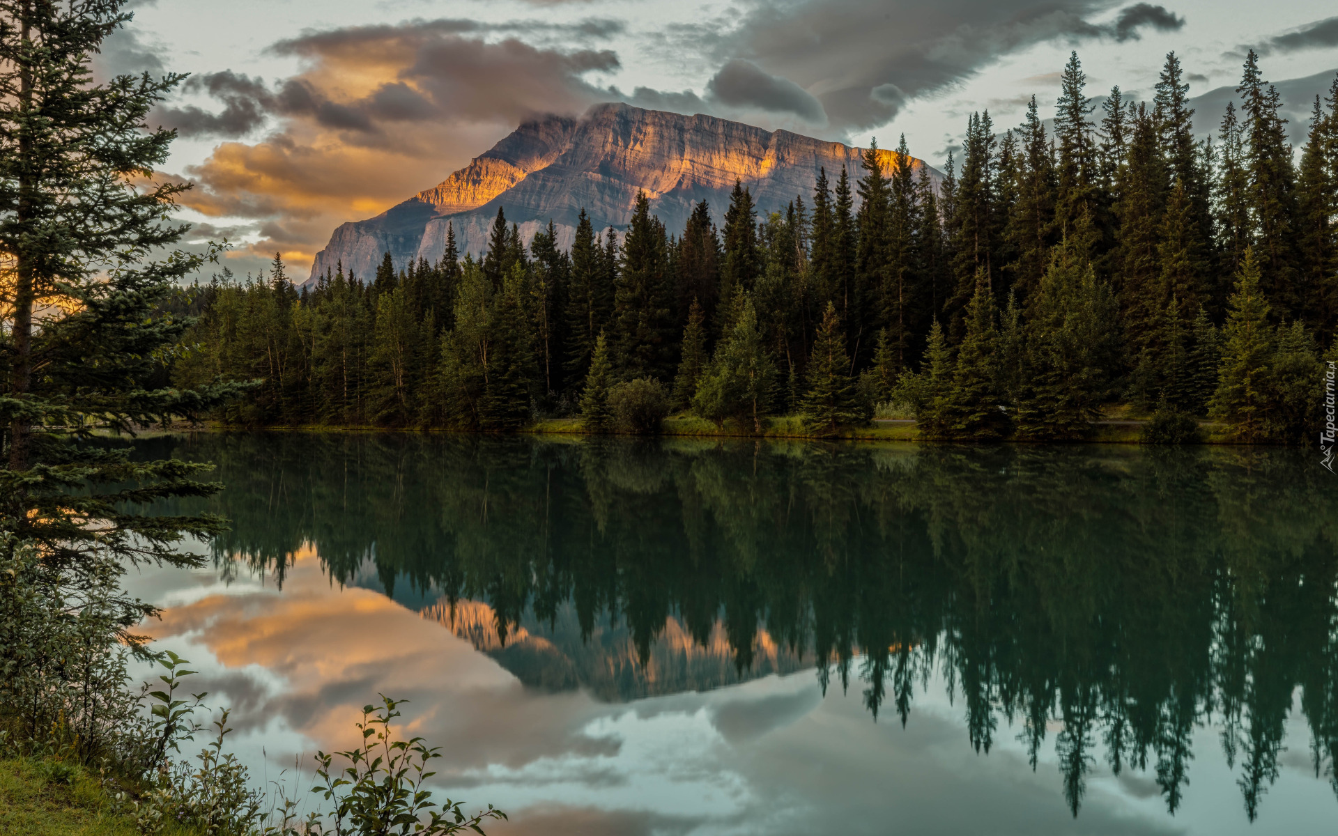 Góry, Góra Mount Rundle, Jezioro, Two Jack Lake, Park Narodowy Banff, Drzewa, Odbicie, Alberta, Kanada
