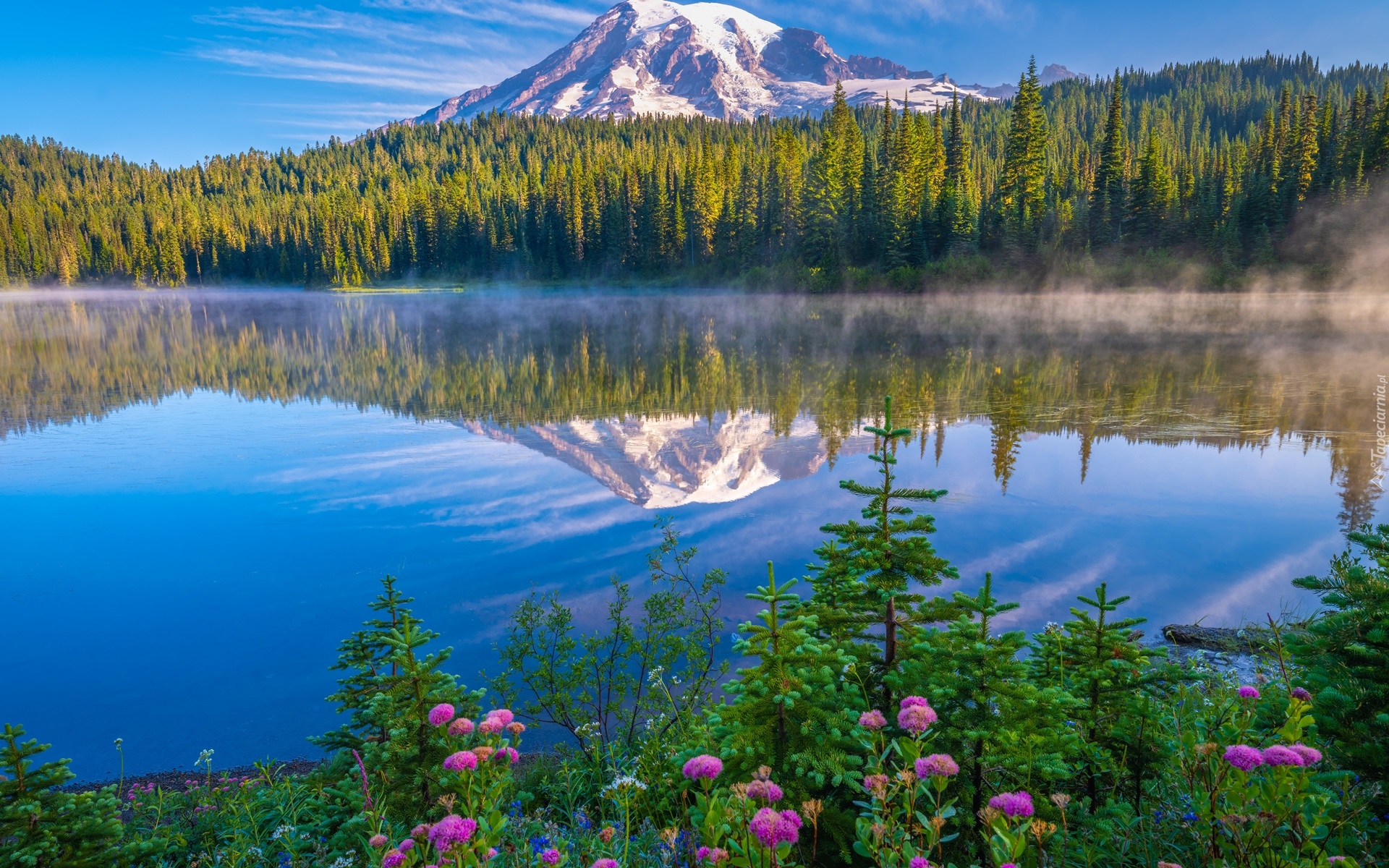 Park Narodowy Mount Rainier, Góry, Stratowulkan Mount Rainier, Las, Drzewa, Kwiaty, Jezioro, Odbicie, Mgła, Stan Waszyngton, Stany Zjednoczone