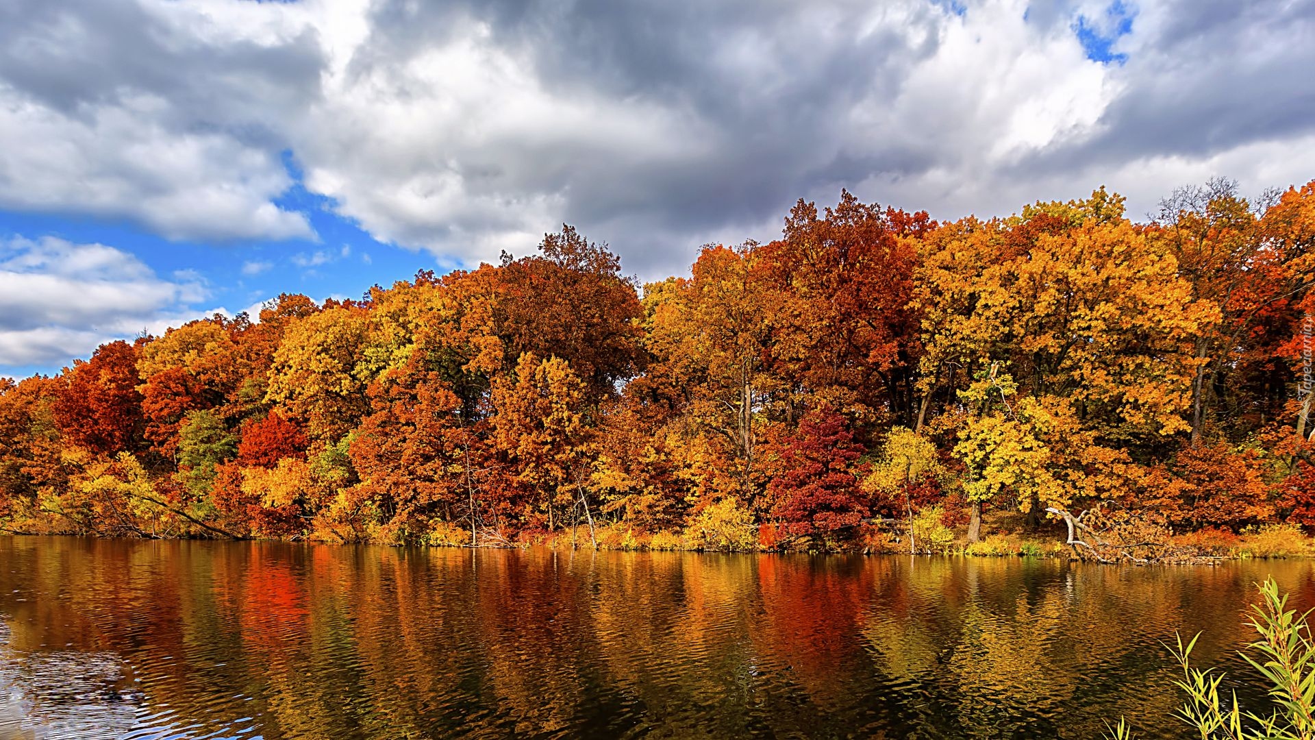 Jesień, Drzewa, Jezioro, Chmury, Odbicie