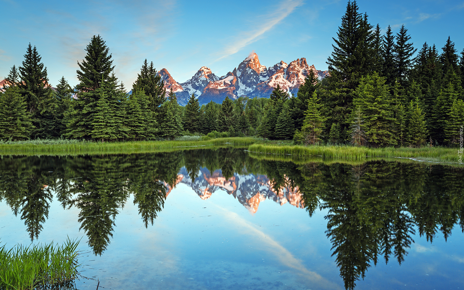 Park Narodowy Grand Teton, Góry Skaliste, Drzewa, Rzeka, Snake River, Odbicie, Stan Wyoming, Stany Zjednoczone