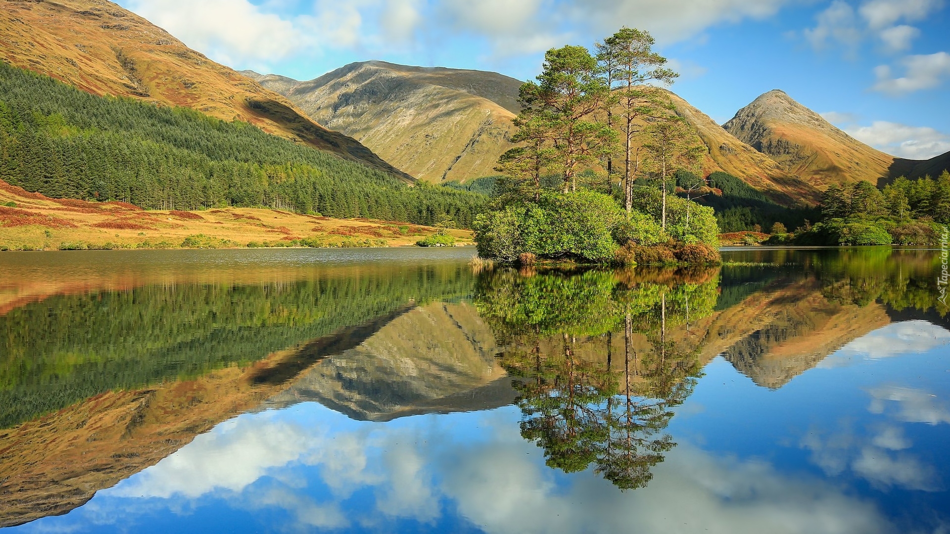 Góry, Glen Etive, Jezioro, Drzewa, Odbicie, Szkocja