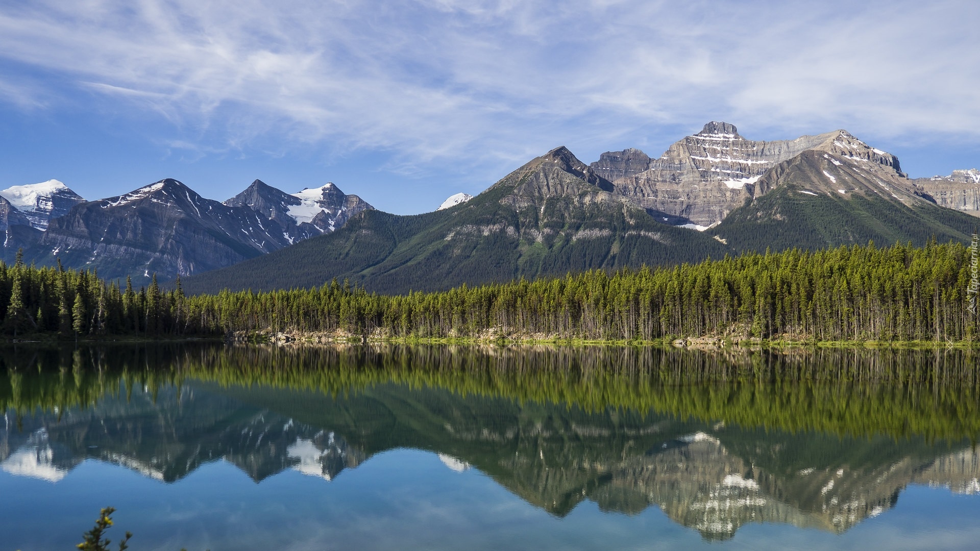 Góry, Jezioro, Herbert Lake, Drzewa, Odbicie, Alberta, Kanada
