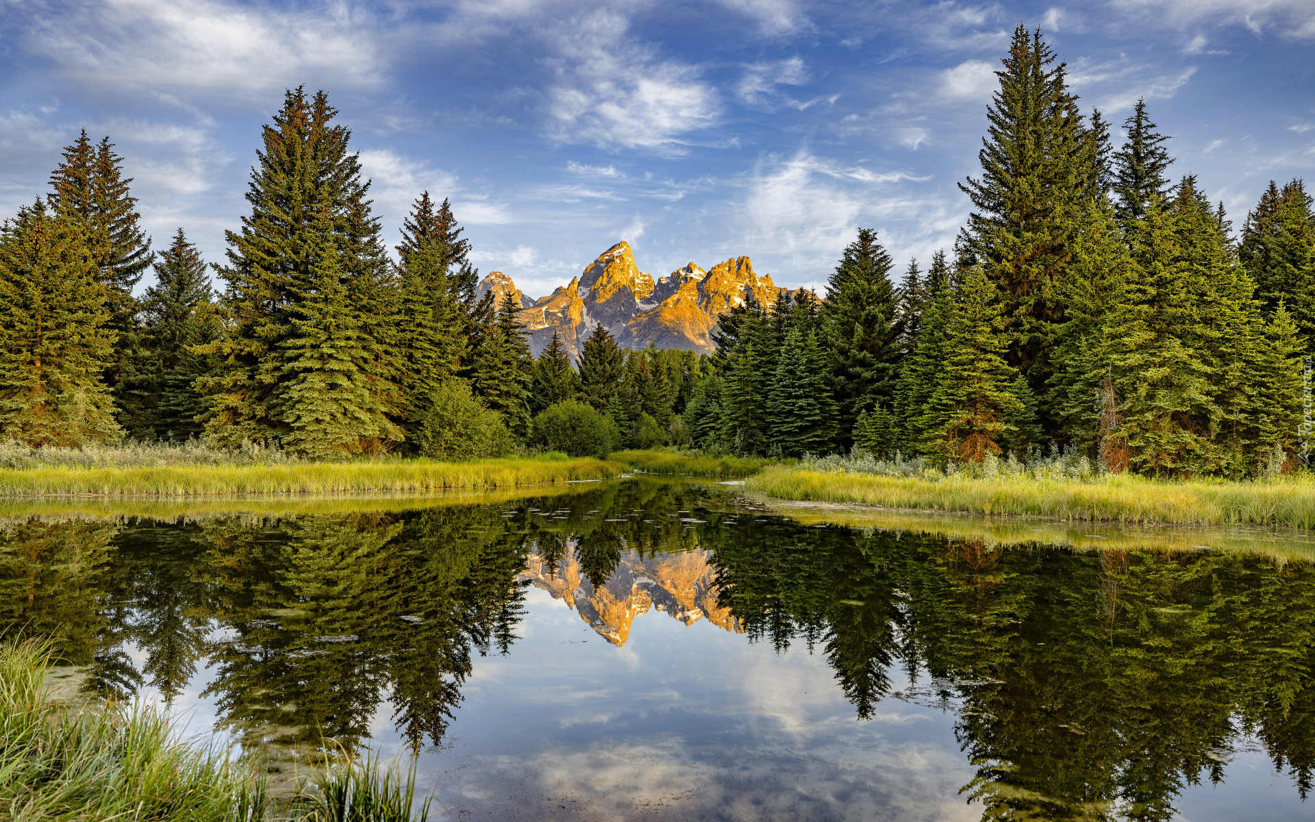 Park Narodowy Grand Teton, Wyoming, Stany Zjednoczone, Góry, Rzeka, Drzewa, Odbie