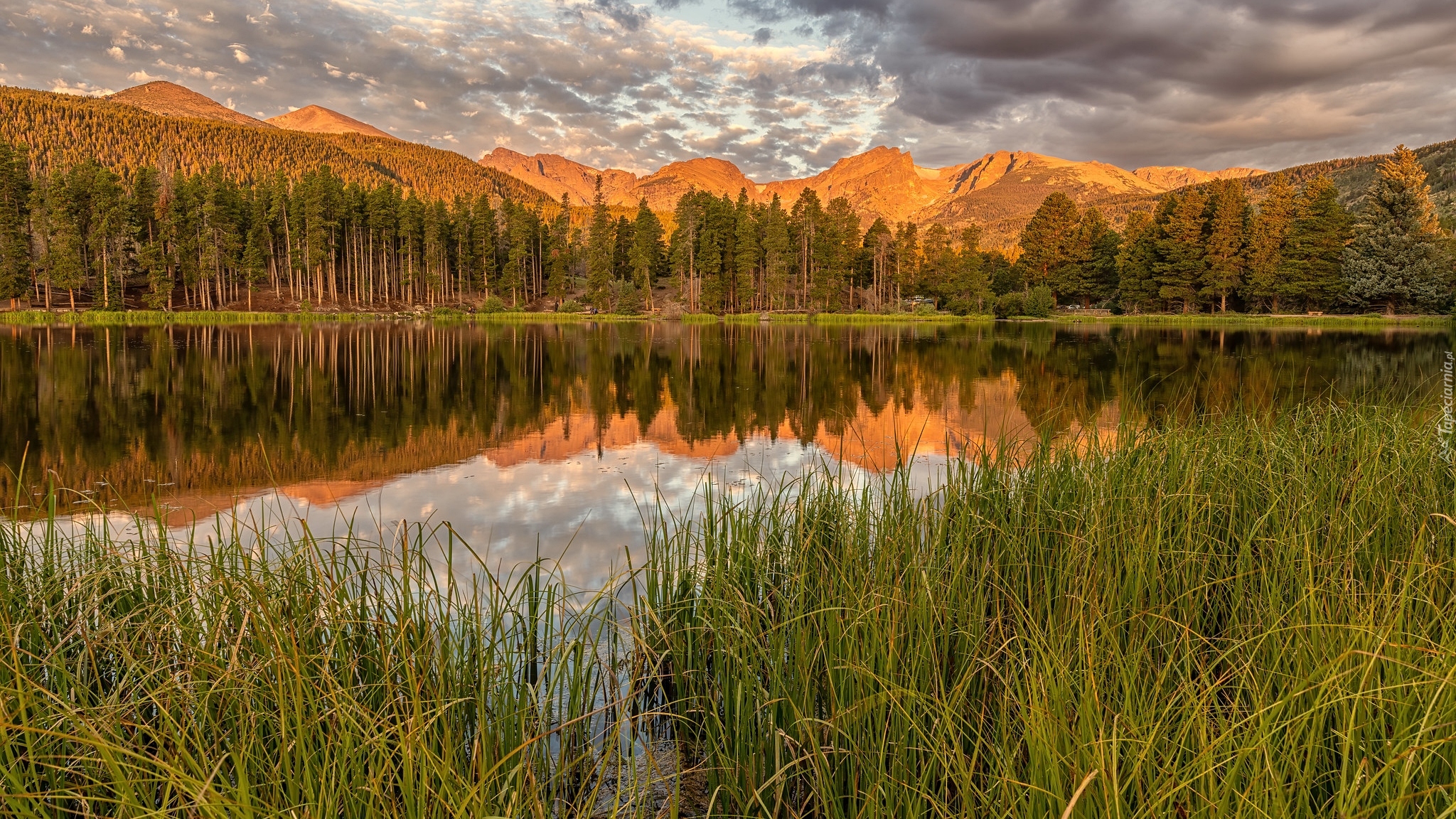 Stany Zjednoczone, Kolorado, Park Narodowy Gór Skalistych, Jezioro, Spraque Lake, Drzewa, Wschód słońca