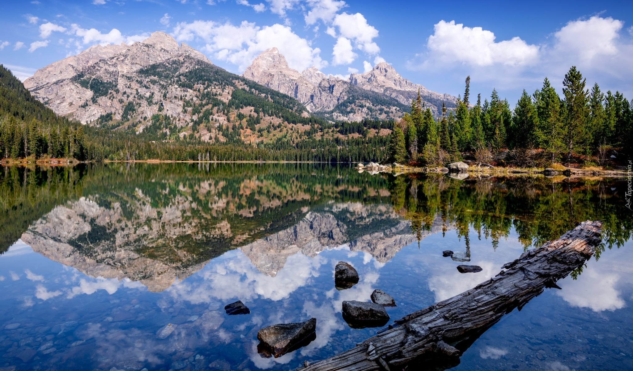 Park Narodowy Grand Teton, Wyoming, Stany Zjednoczone, Góry, Jezioro, Taggart Lake, Las, Drzewa, Chmury Odbicie