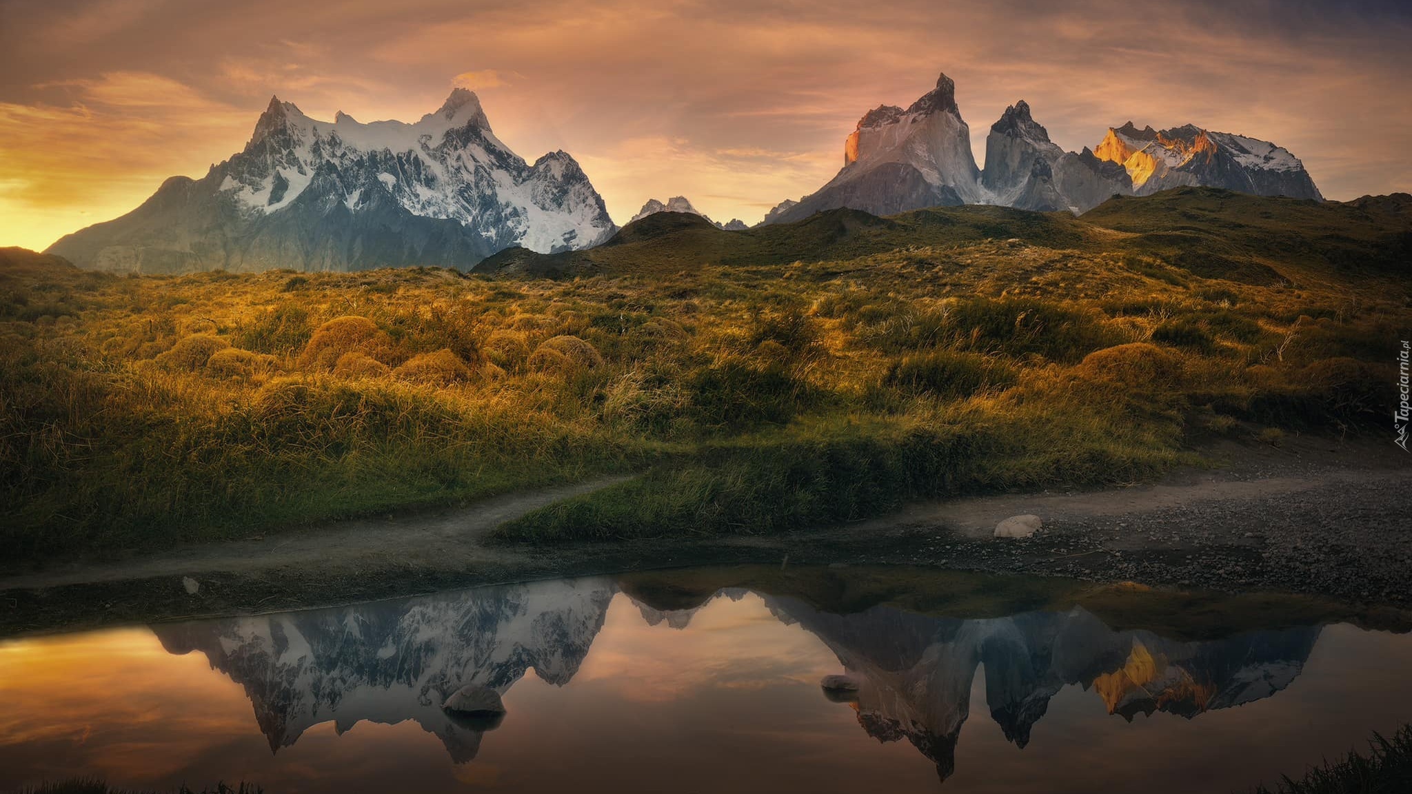 Chile, Patagonia, Góry, Torres del Paine, Rzeka, Jesień, Roślinność