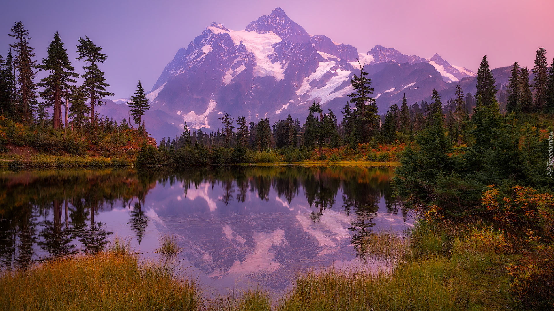 Jesień, Góry, Góra, Mount Shuksan Drzewa, Jezioro, Picture Lake, Odbicie, Stan Waszyngton, Stany Zjednoczone, Park Narodowy Północnych Gór Kaskadowych