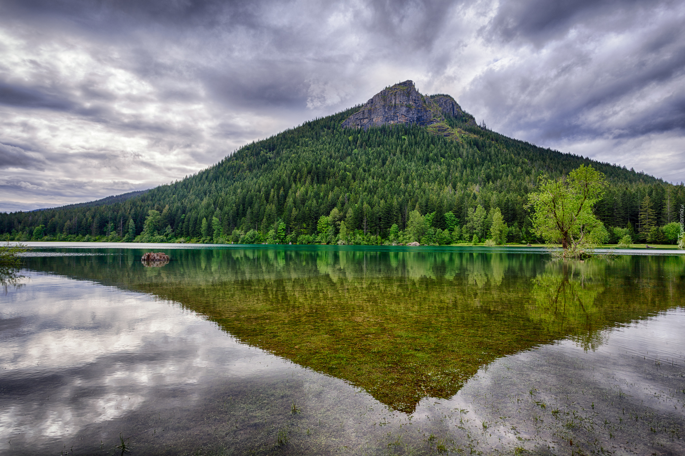 Góra Rattlesnake Ridge, Jezioro Rattlesnake Lake, Drzewa, Las, Chmury, Odbicie, Stan Waszyngton, Stany Zjednoczone