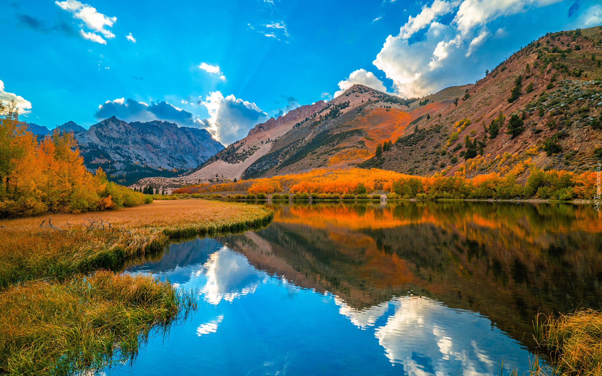 Jezioro, North Lake, Góry, Sierra Nevada, Trawy, Pożółkłe, Drzewa, Jesień, Kalifornia, Stany Zjednoczone