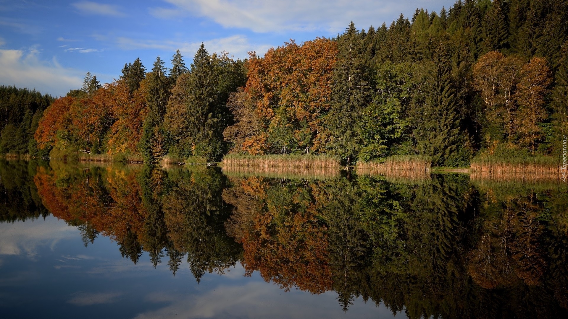 Jesień, Jezioro, Drzewa, Las, Odbicie