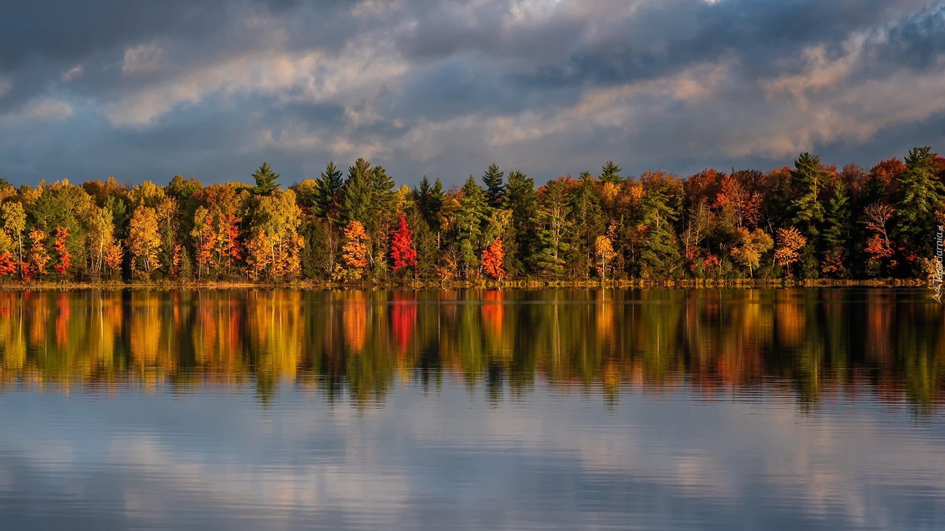 Jesień, Jezioro, Kolorowe, Drzewa, Las, Odbicie