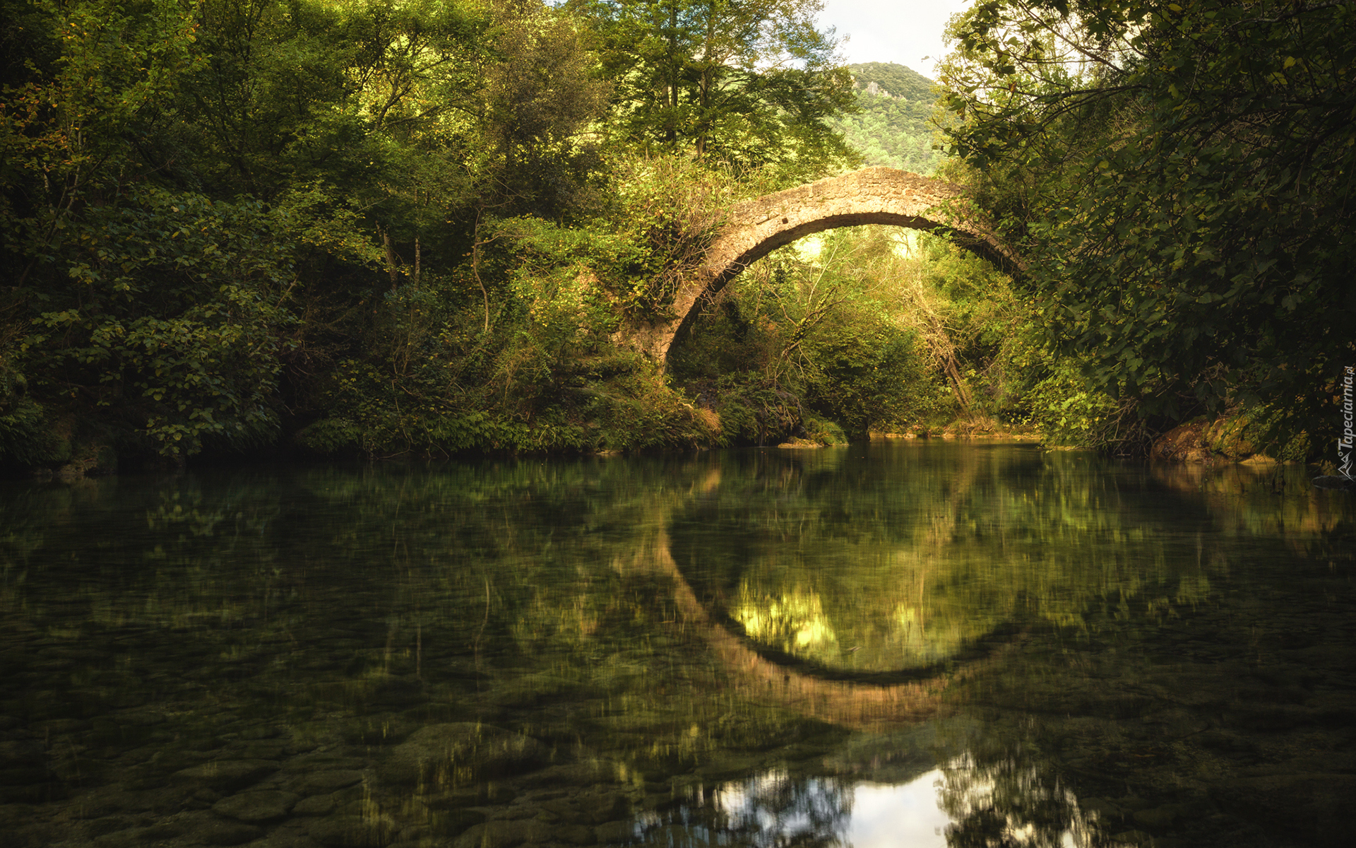 Las, Drzewa, Most, Pont Des Tuves, Rzeka Siagne, Odbicie, Montauroux, Francja