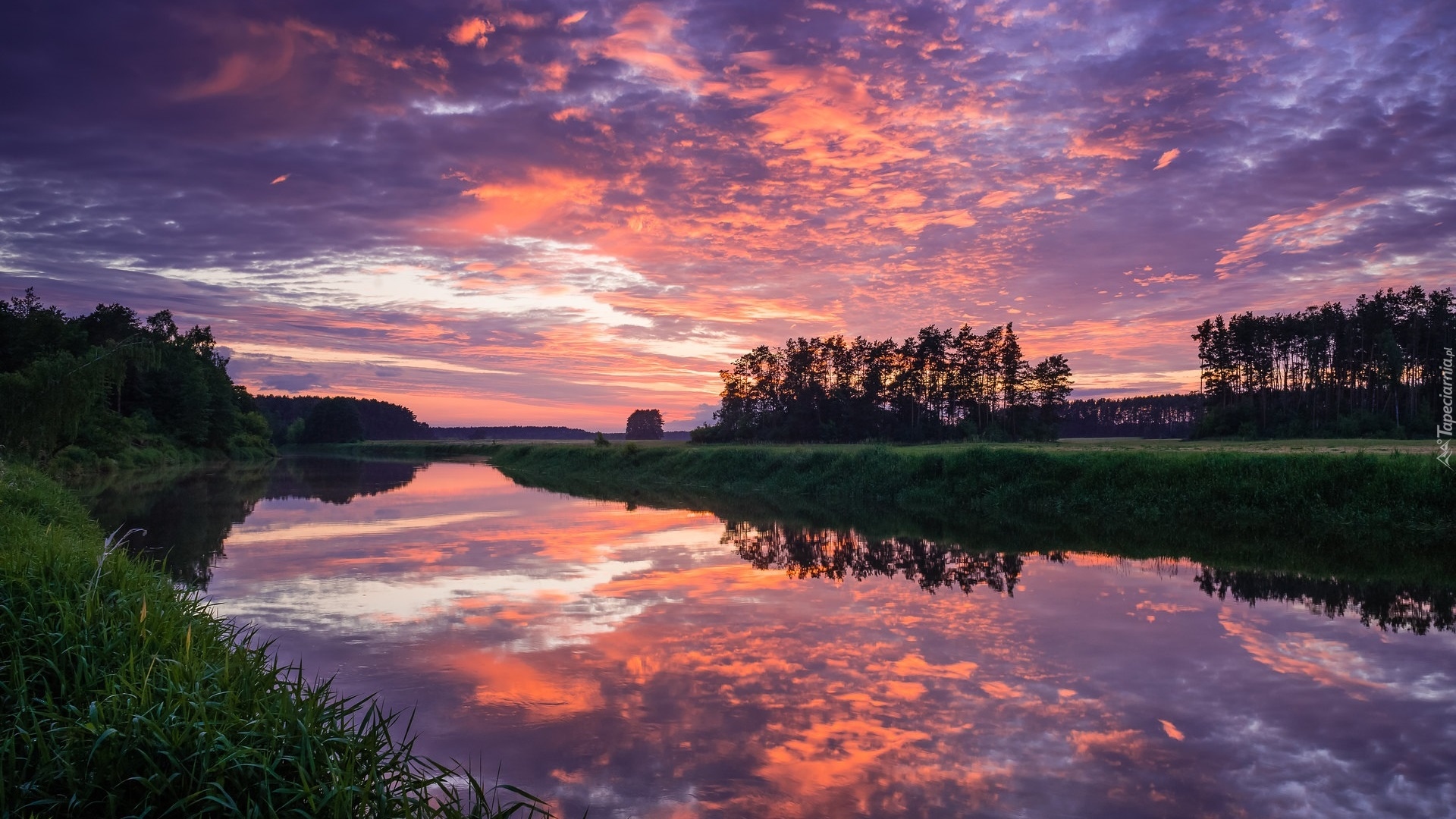 Rzeka, Narew, Kolorowe, Niebo, Zachód słońca, Chmury, Drzewa, Trawa, Odbicie, Polska