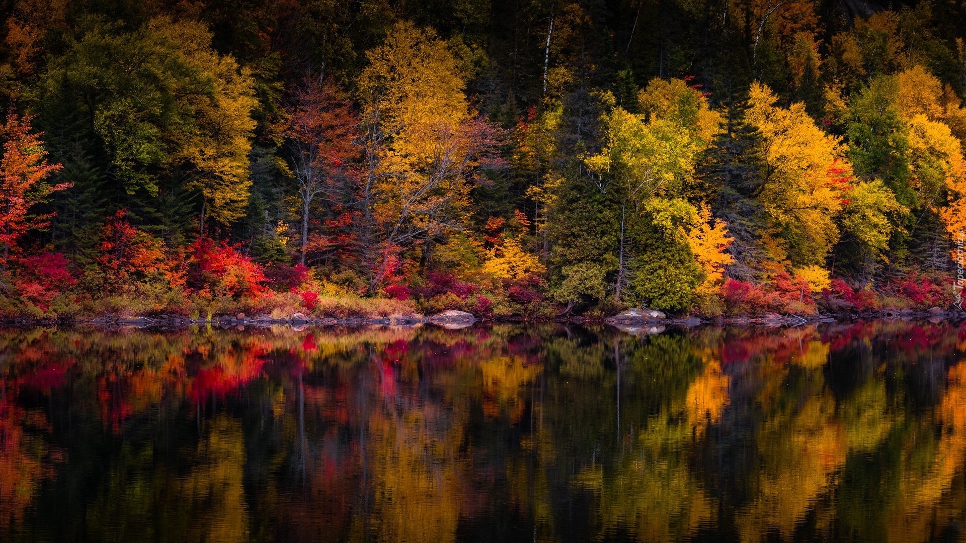 Jesień, Jezioro, Kolorowe, Drzewa, Odbicie