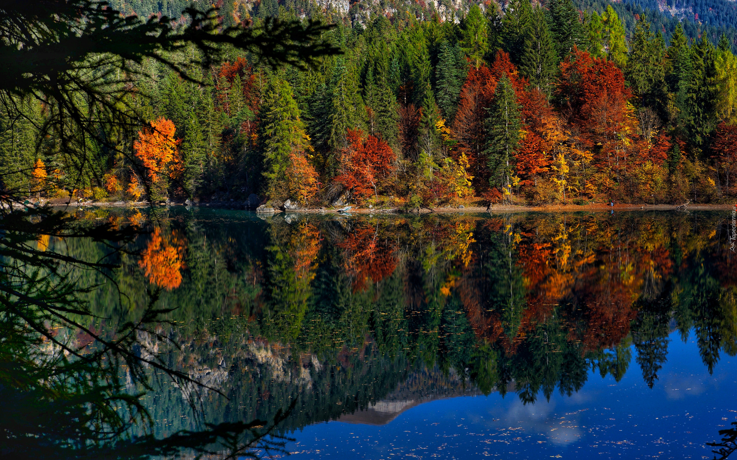 Jesień, Las, Kolorowe, Drzewa, Jezioro, Odbicie