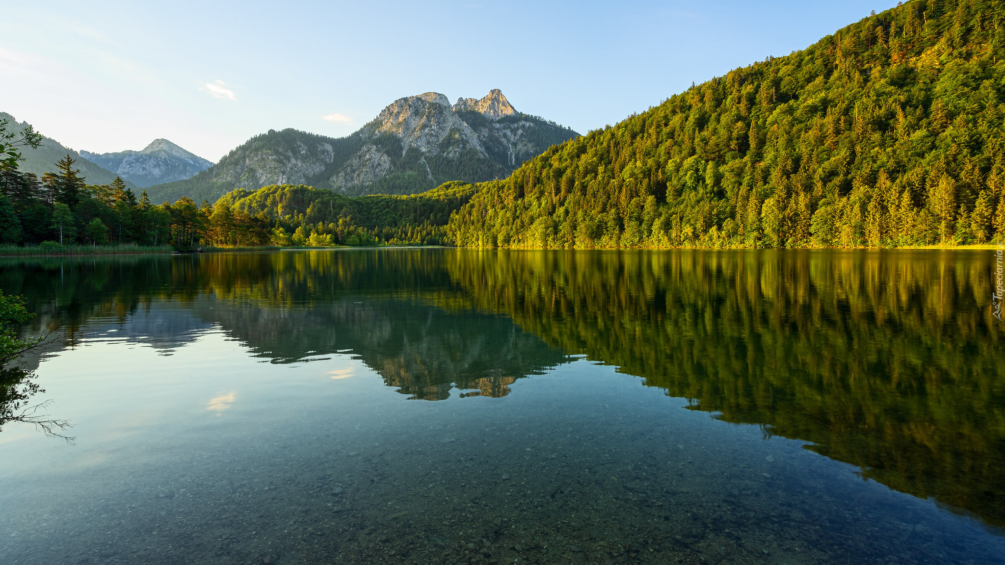 Góry, Jezioro Schwansee, Drzewa, Odbicie, Bawaria, Niemcy